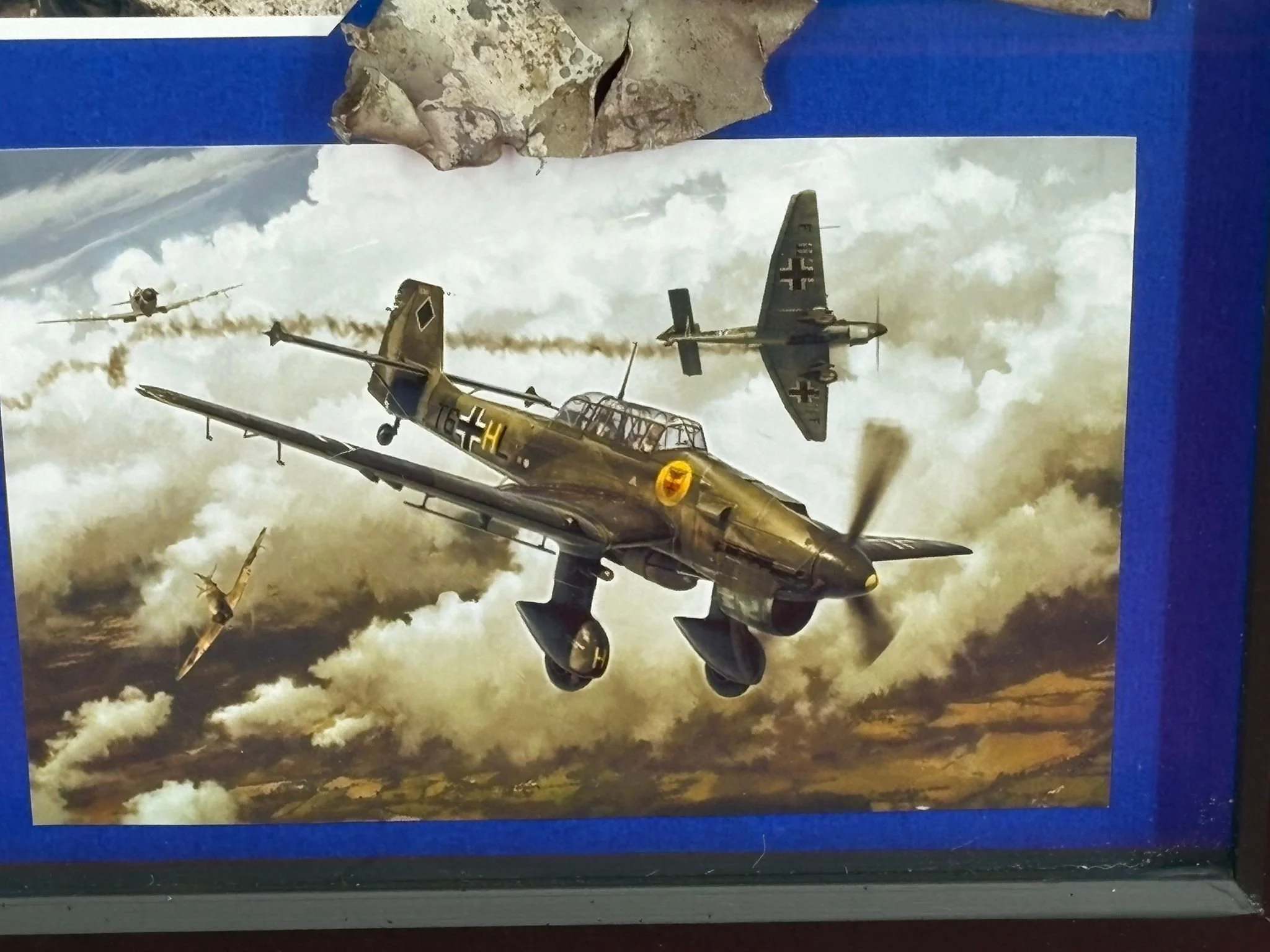 WhatsApp Image 2025-12-01 at 15.40.12 (2).jpeg