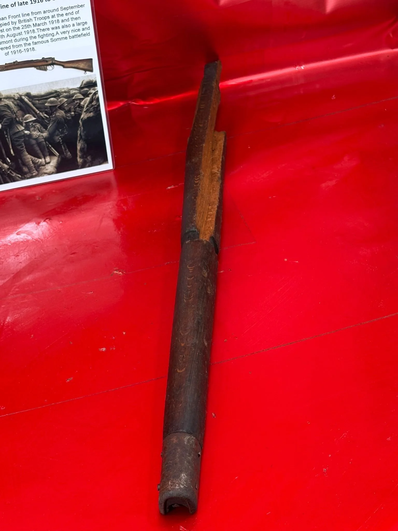 WhatsApp Image 2025-11-16 at 15.05.20 (3).jpeg