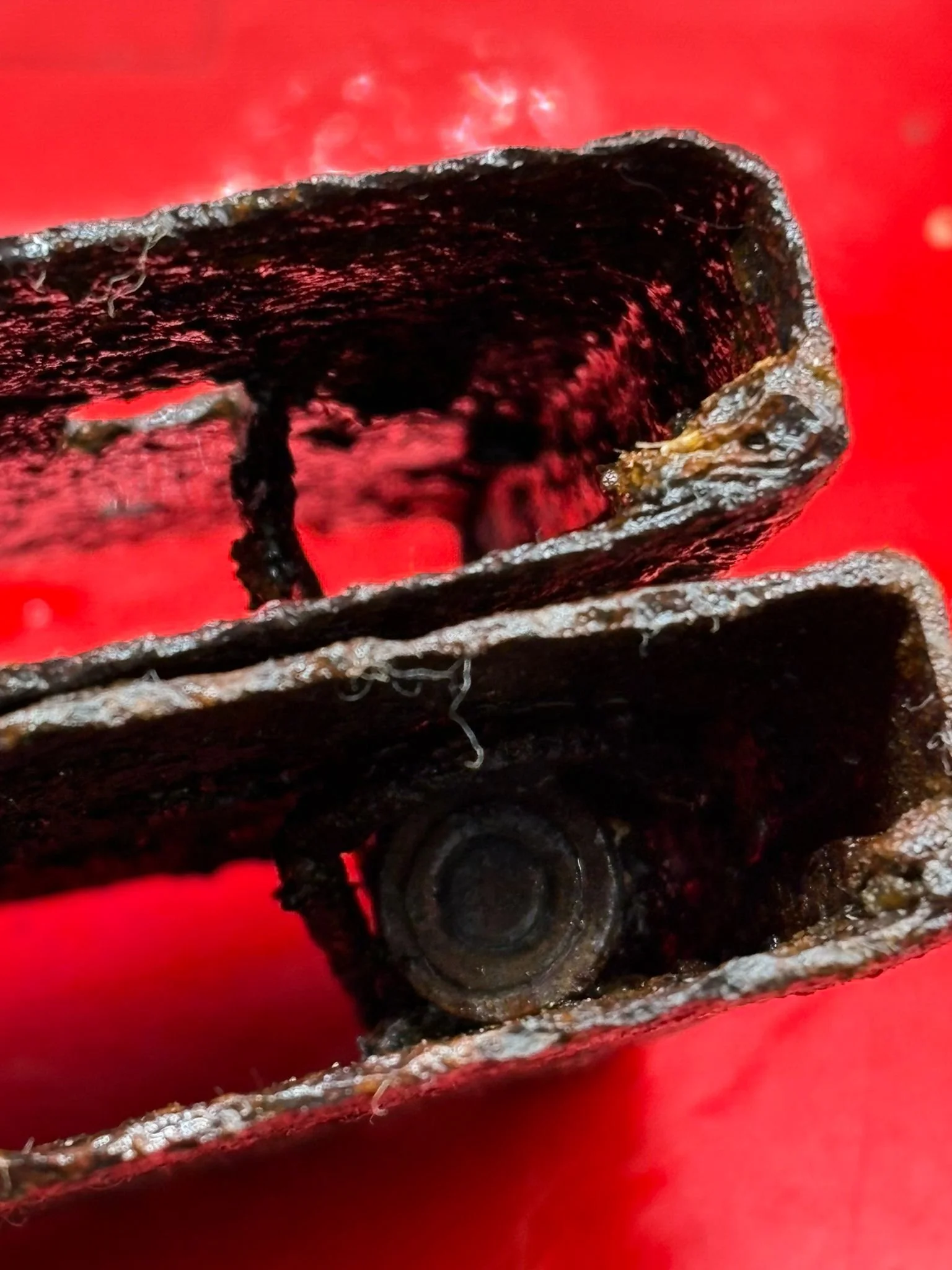 WhatsApp Image 2025-10-23 at 13.04.56 (2).jpeg