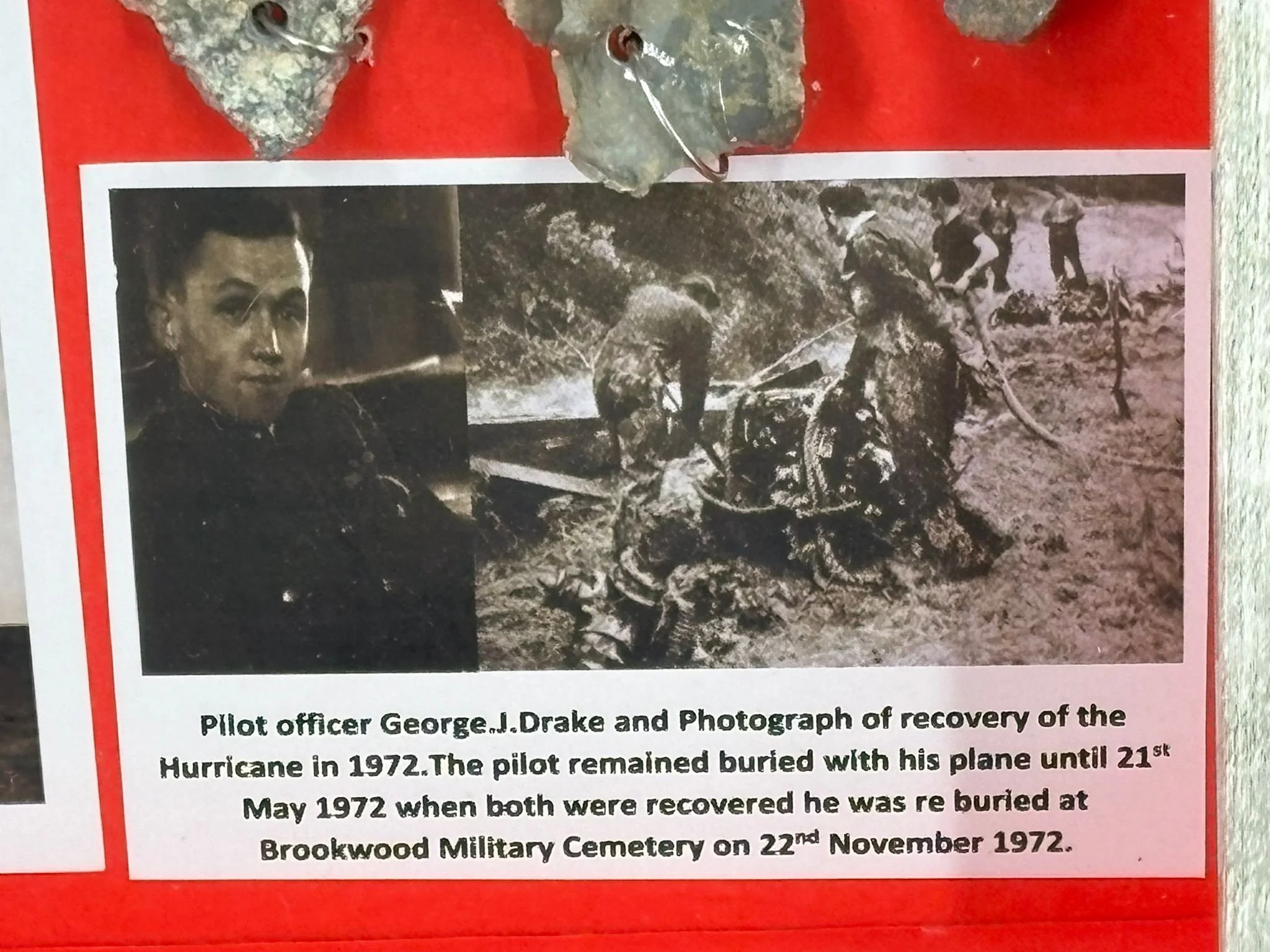 WhatsApp Image 2026-03-11 at 12.52.10.jpeg