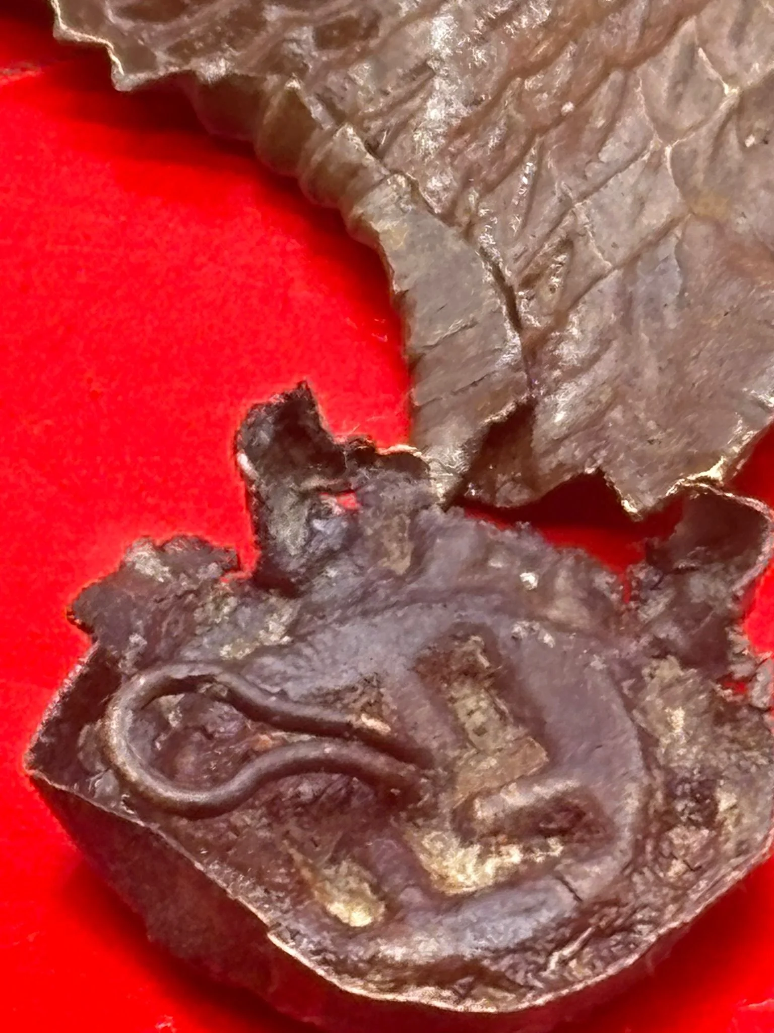 WhatsApp Image 2025-11-20 at 19.05.49 (2).jpeg