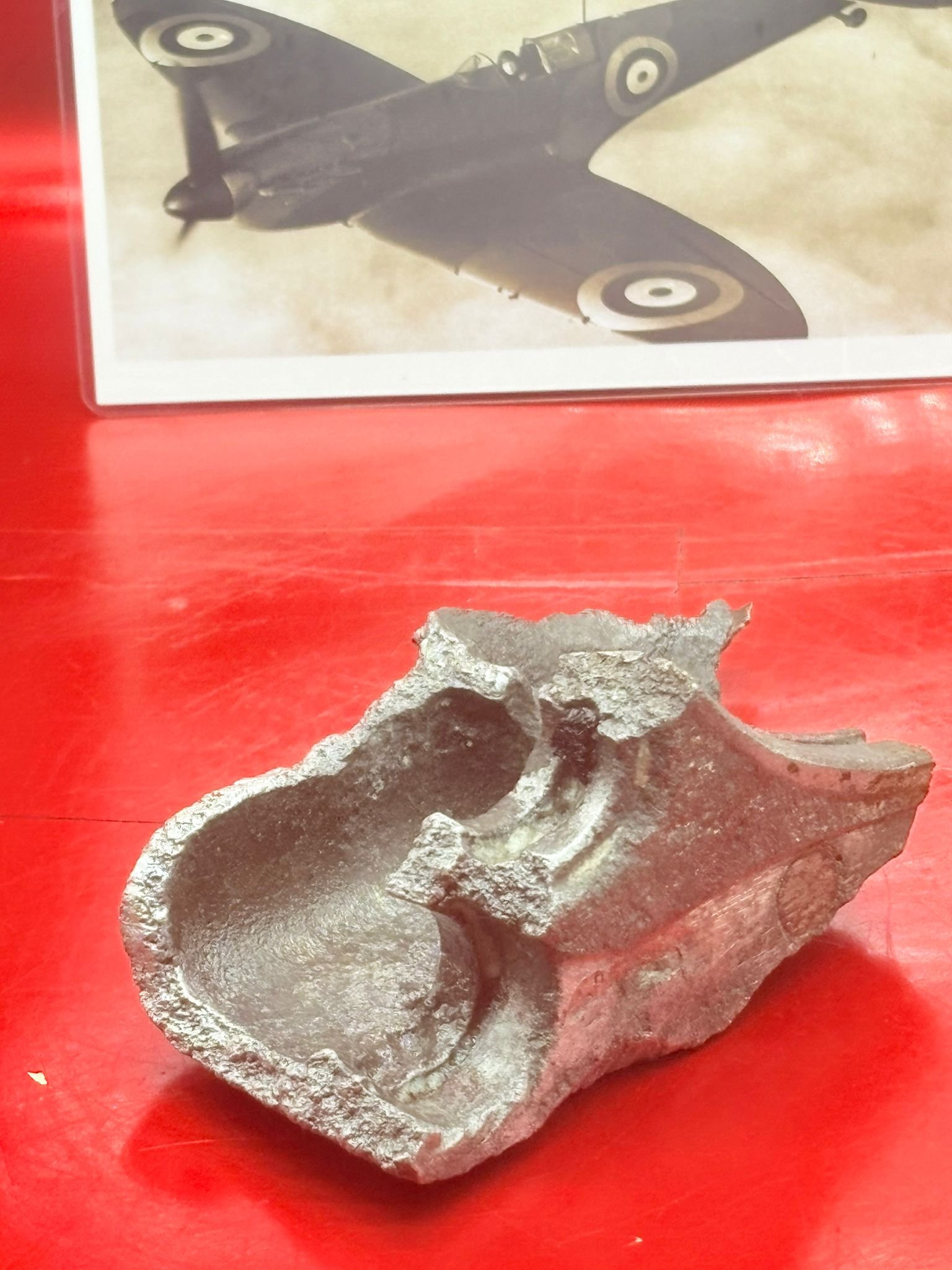 WhatsApp Image 2025-12-08 at 16.07.20 (4).jpeg