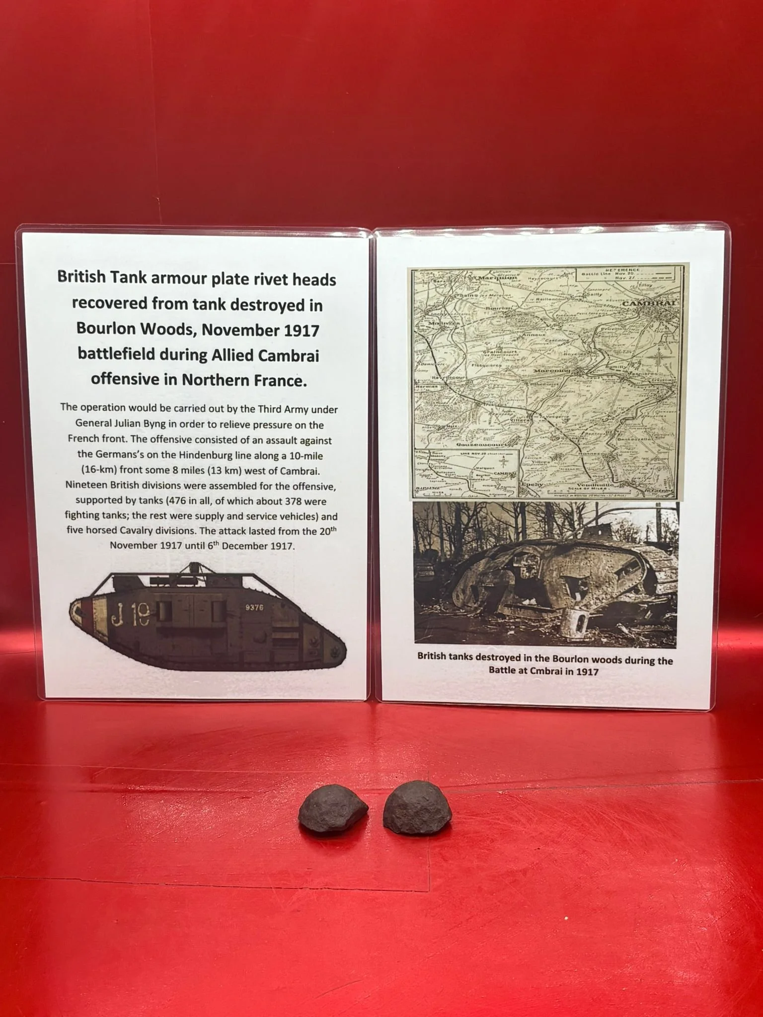 WhatsApp Image 2025-11-11 at 10.27.14.jpeg