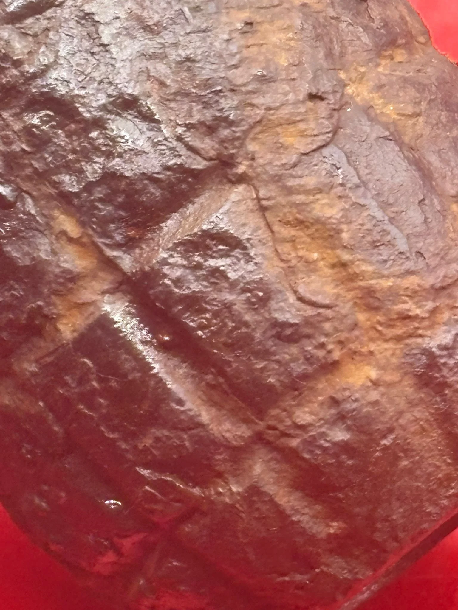 WhatsApp Image 2025-11-16 at 16.11.07 (3).jpeg