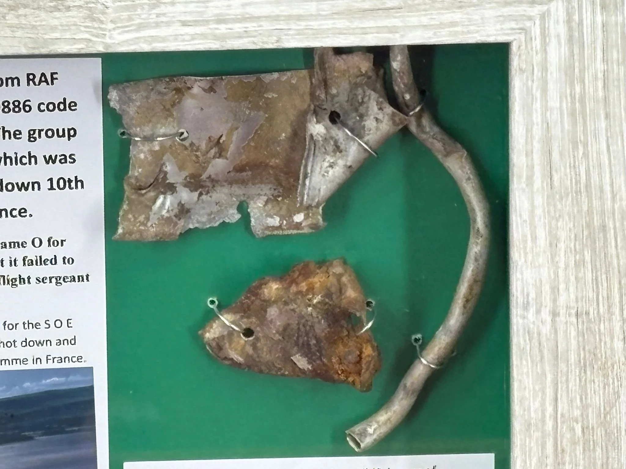 WhatsApp Image 2026-03-11 at 13.01.37 (3).jpeg