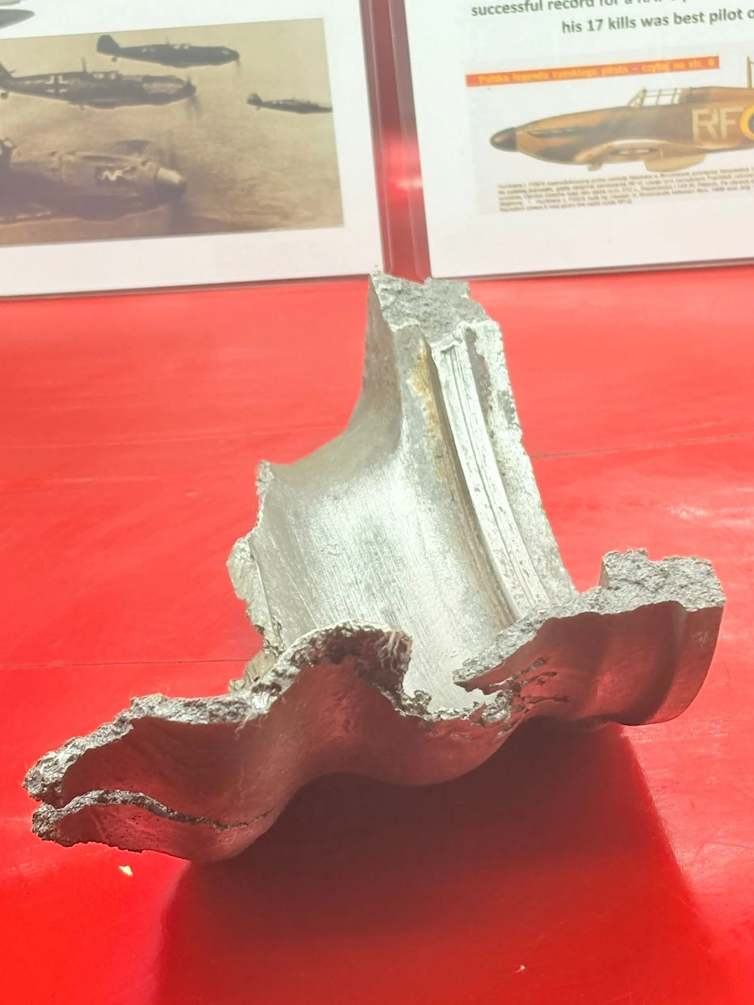 WhatsApp Image 2025-12-08 at 16.47.24.jpeg