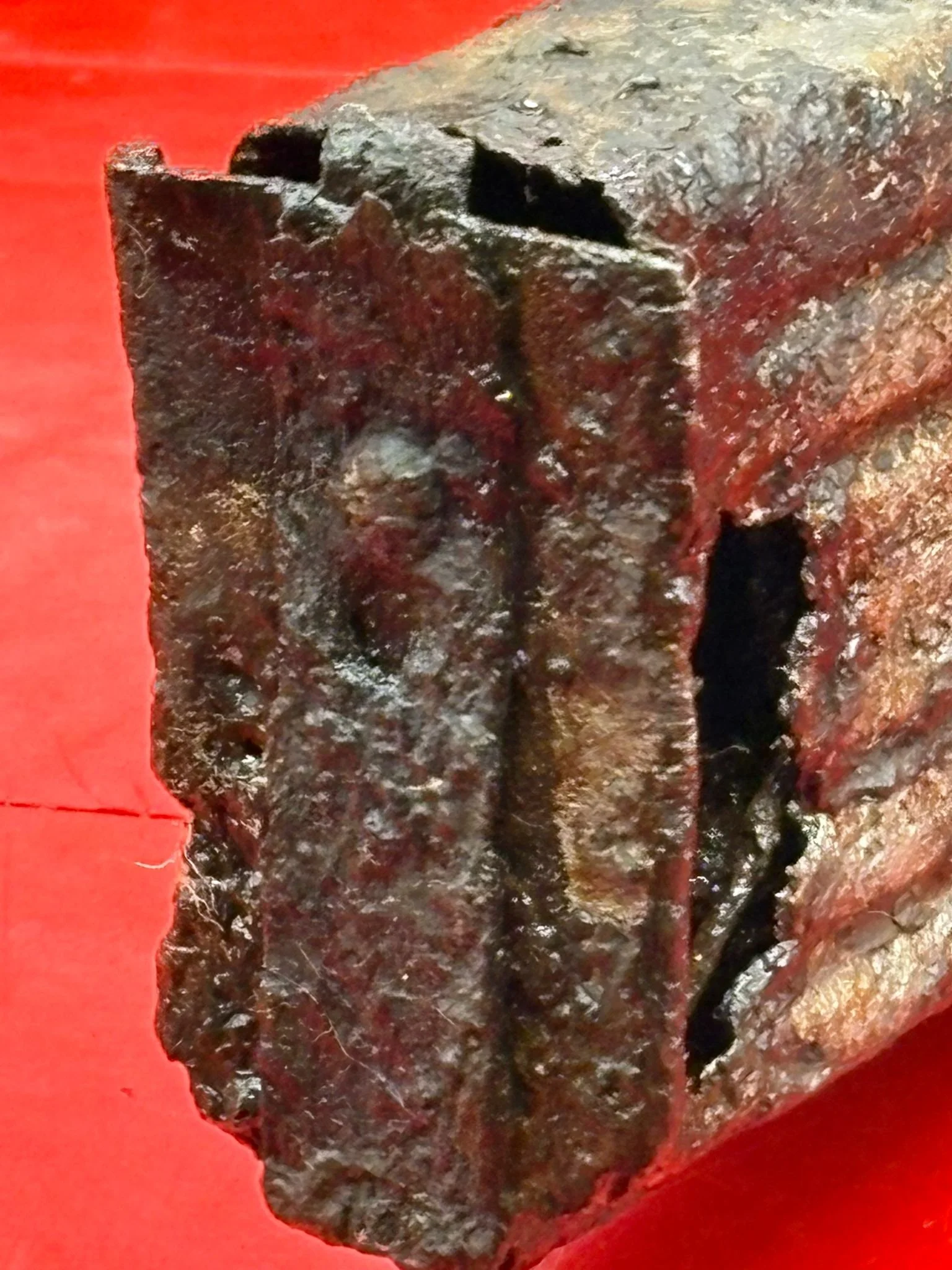 WhatsApp Image 2025-11-24 at 12.49.50 (1).jpeg