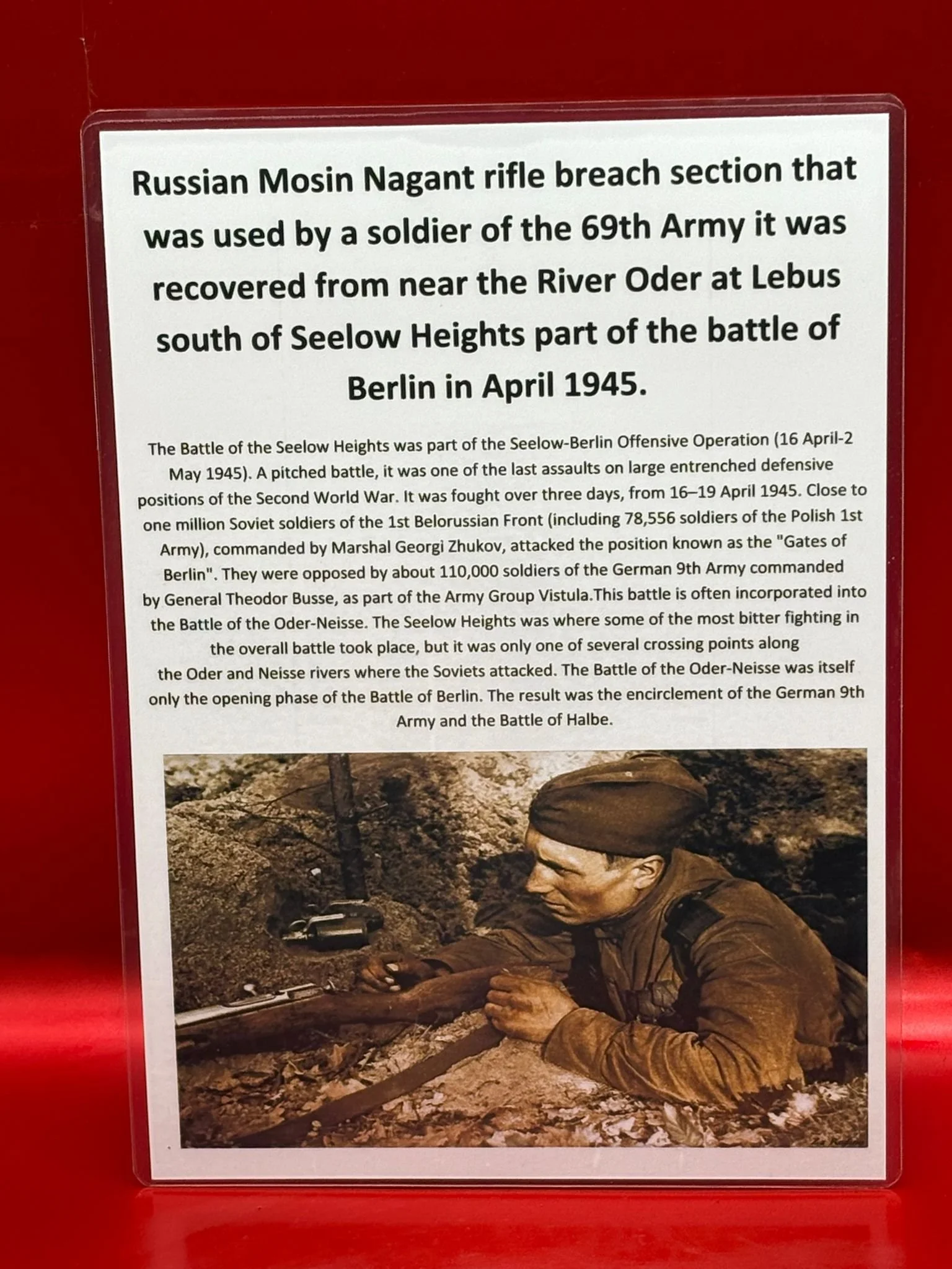 WhatsApp Image 2025-11-24 at 16.48.30.jpeg