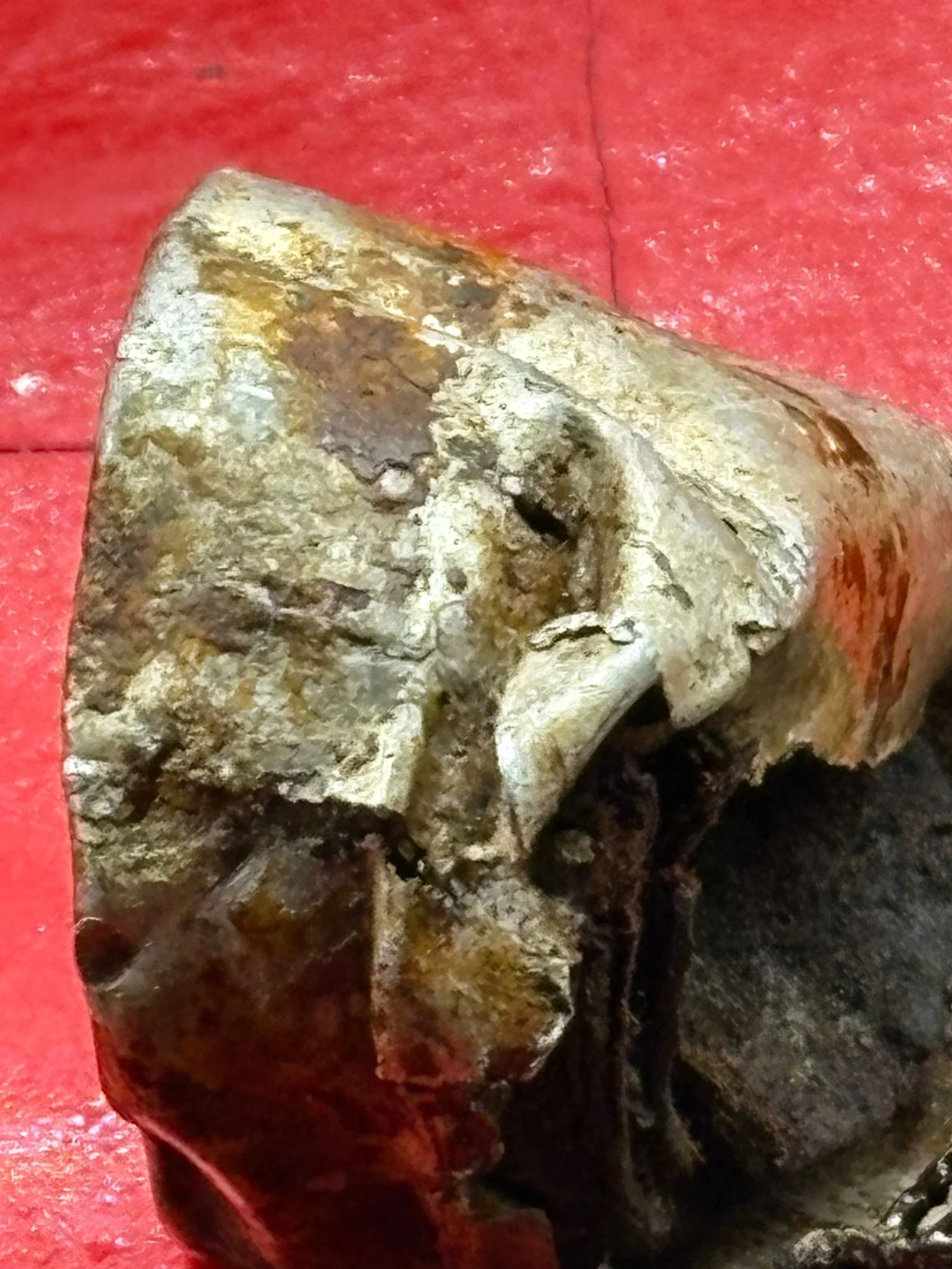 WhatsApp Image 2025-10-22 at 17.38.50.jpeg