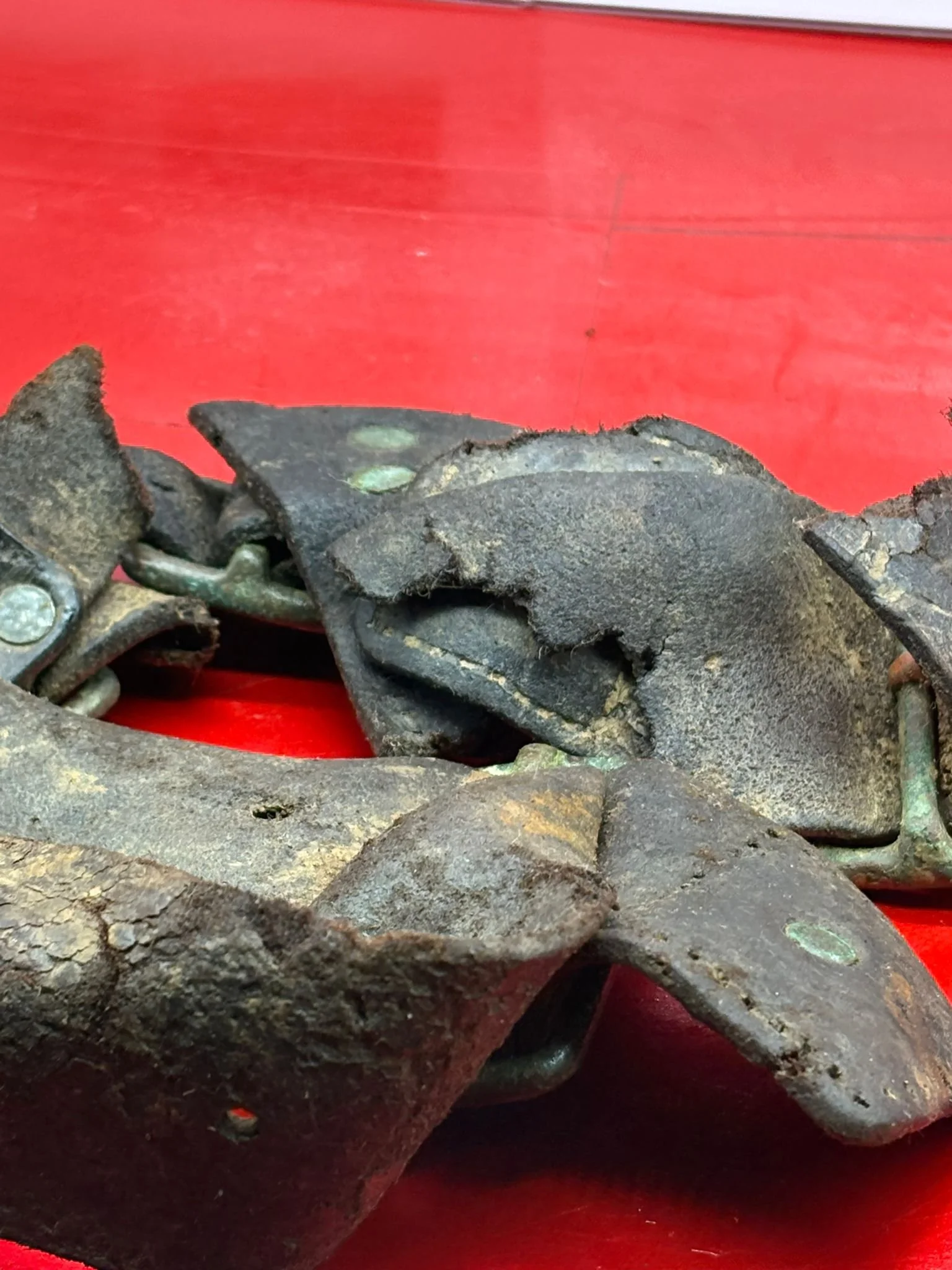 WhatsApp Image 2025-11-16 at 14.15.31 (3).jpeg