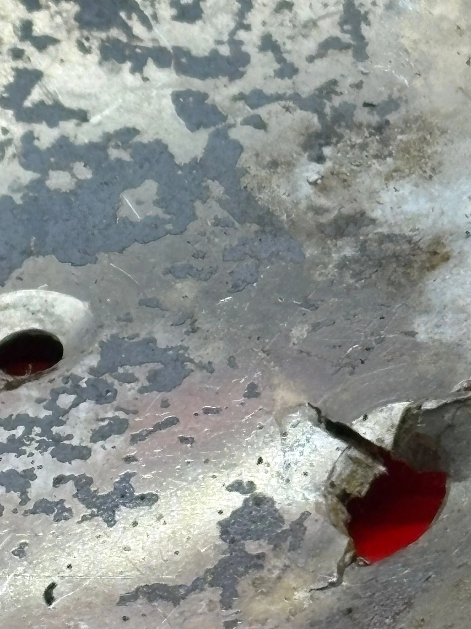 WhatsApp Image 2026-02-10 at 11.59.06 (6).jpeg