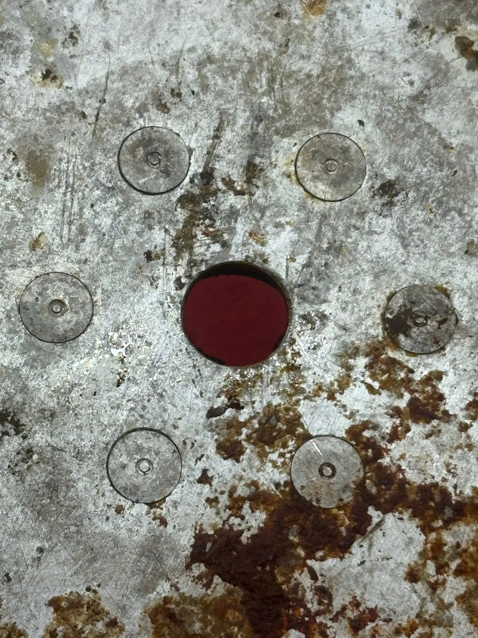 WhatsApp Image 2026-02-13 at 16.32.16 (3).jpeg