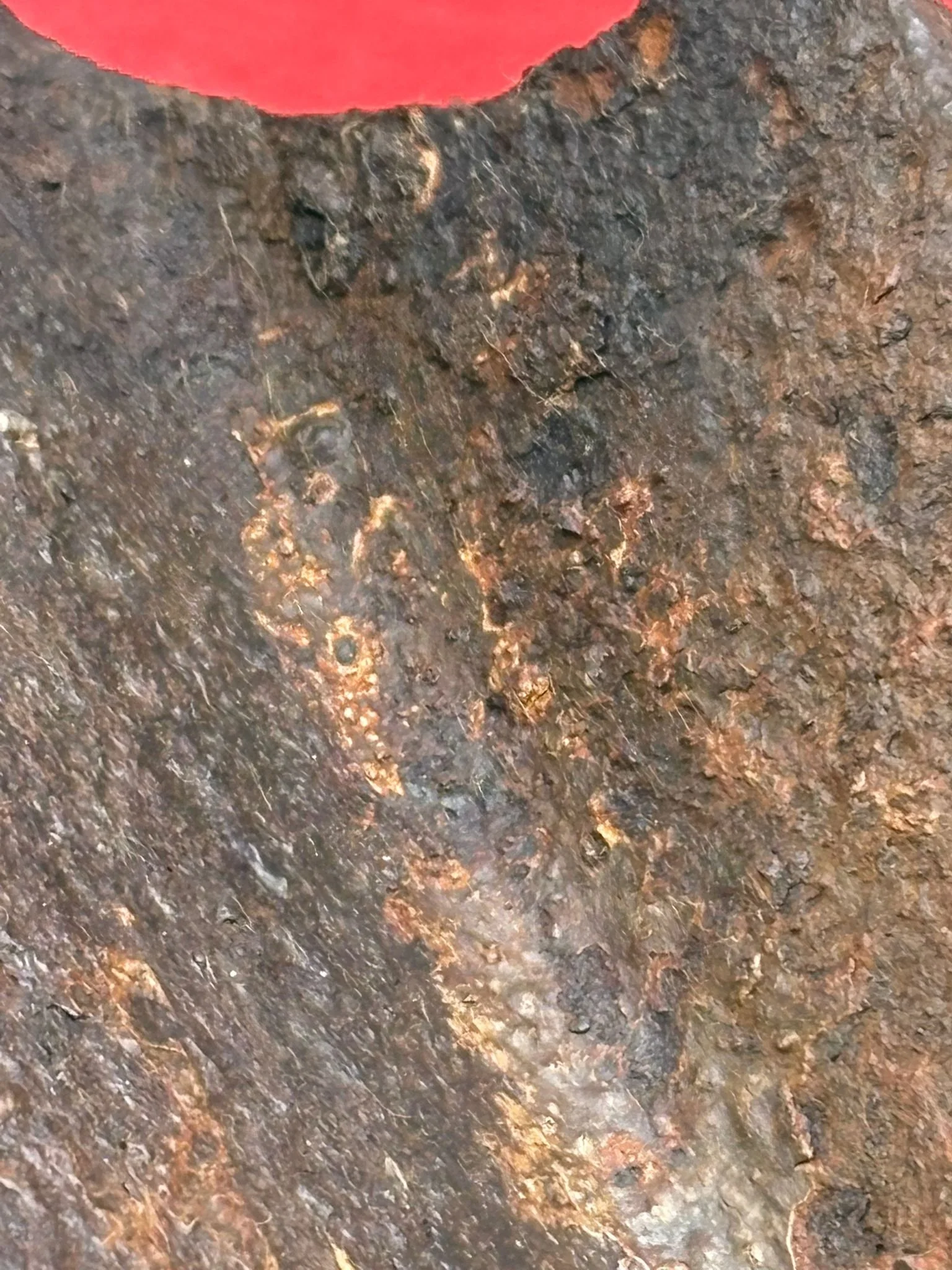 WhatsApp Image 2025-11-24 at 16.54.46 (5).jpeg