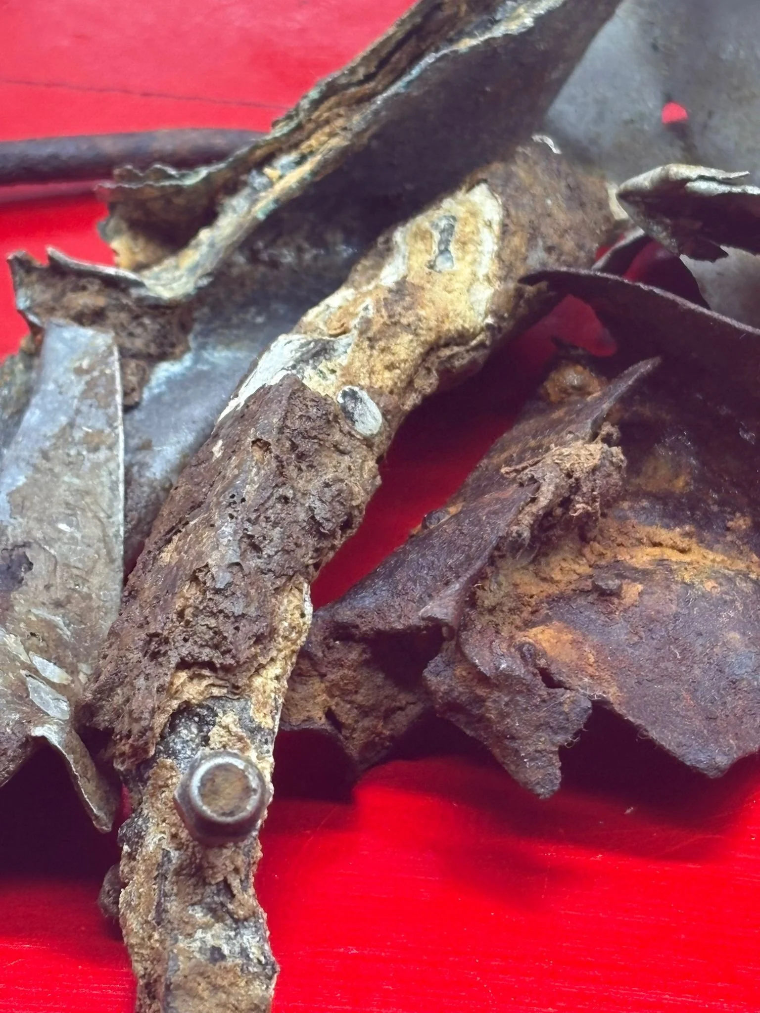 WhatsApp Image 2026-03-12 at 14.21.11 (4).jpeg