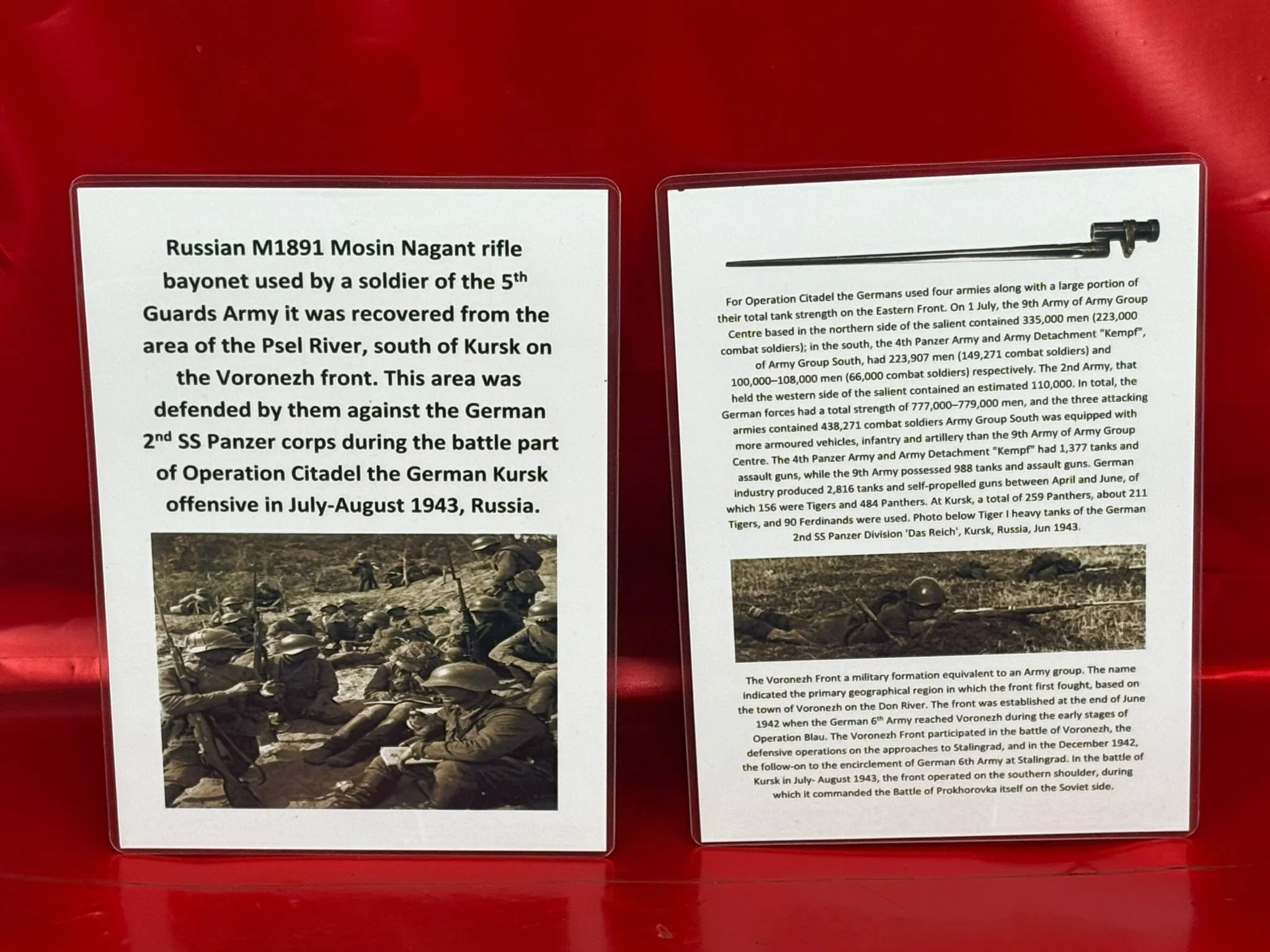 WhatsApp Image 2025-10-24 at 16.01.24.jpeg