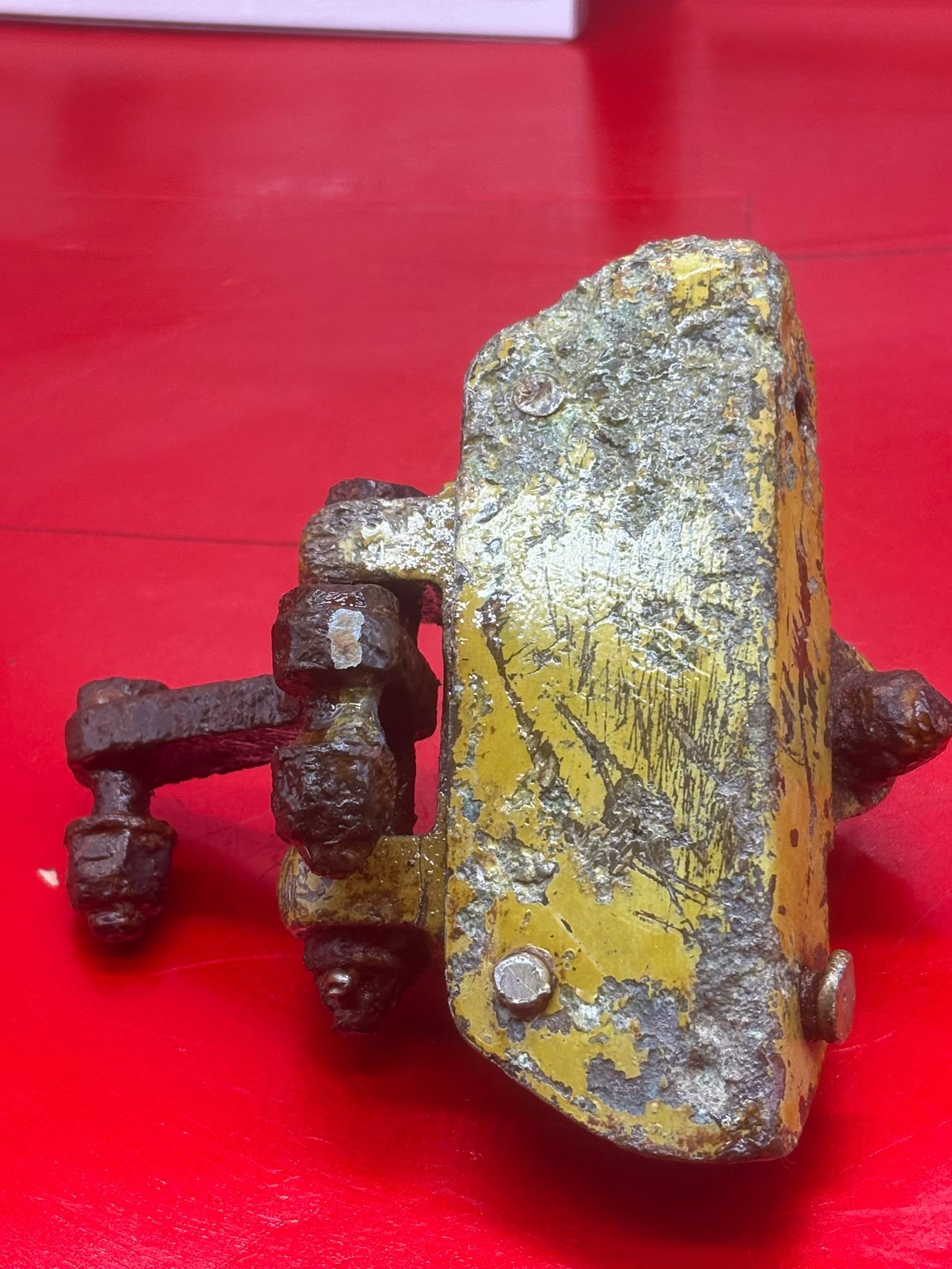 WhatsApp Image 2026-02-13 at 16.15.03 (1).jpeg