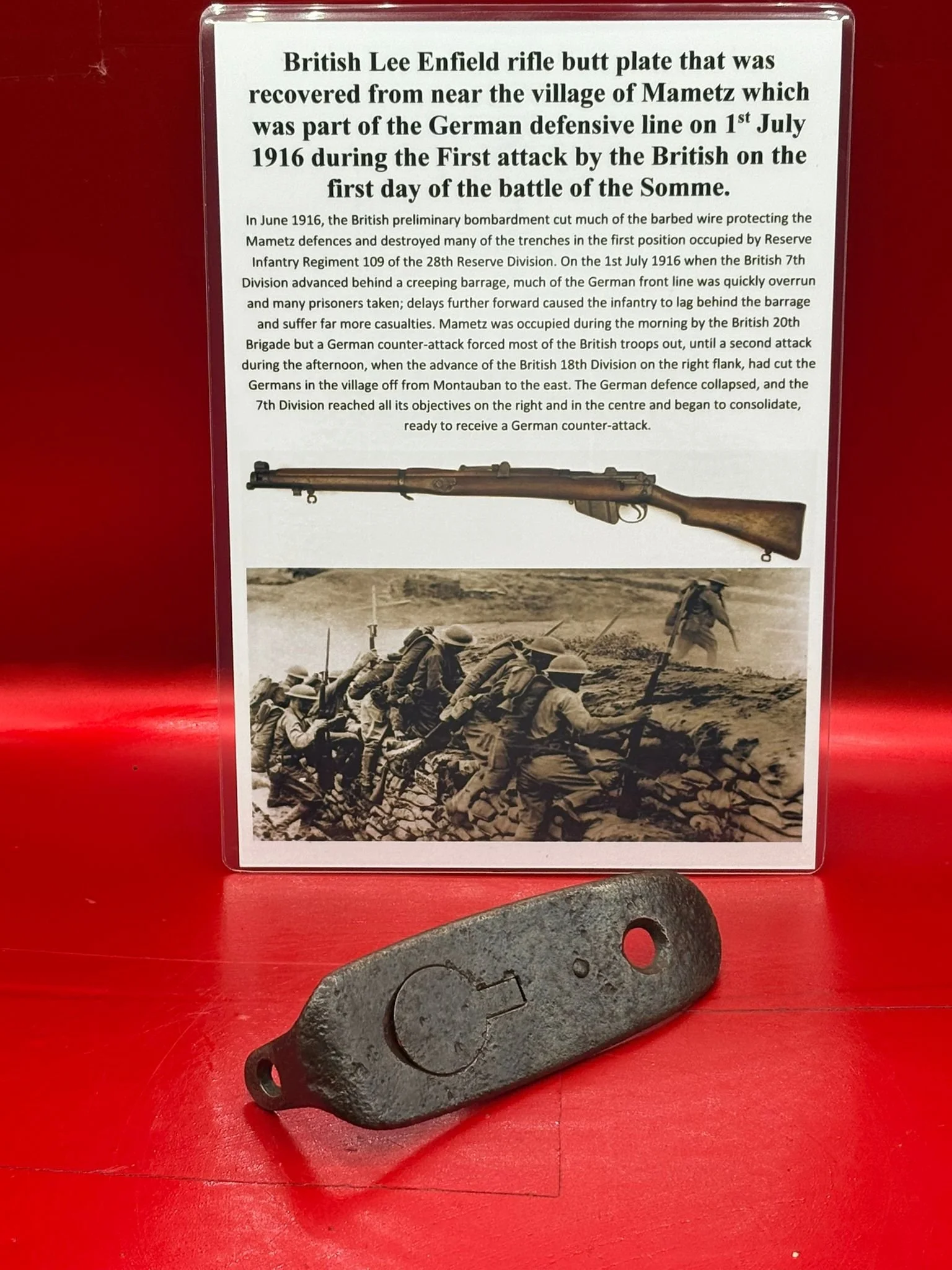 WhatsApp Image 2025-11-12 at 14.53.16.jpeg