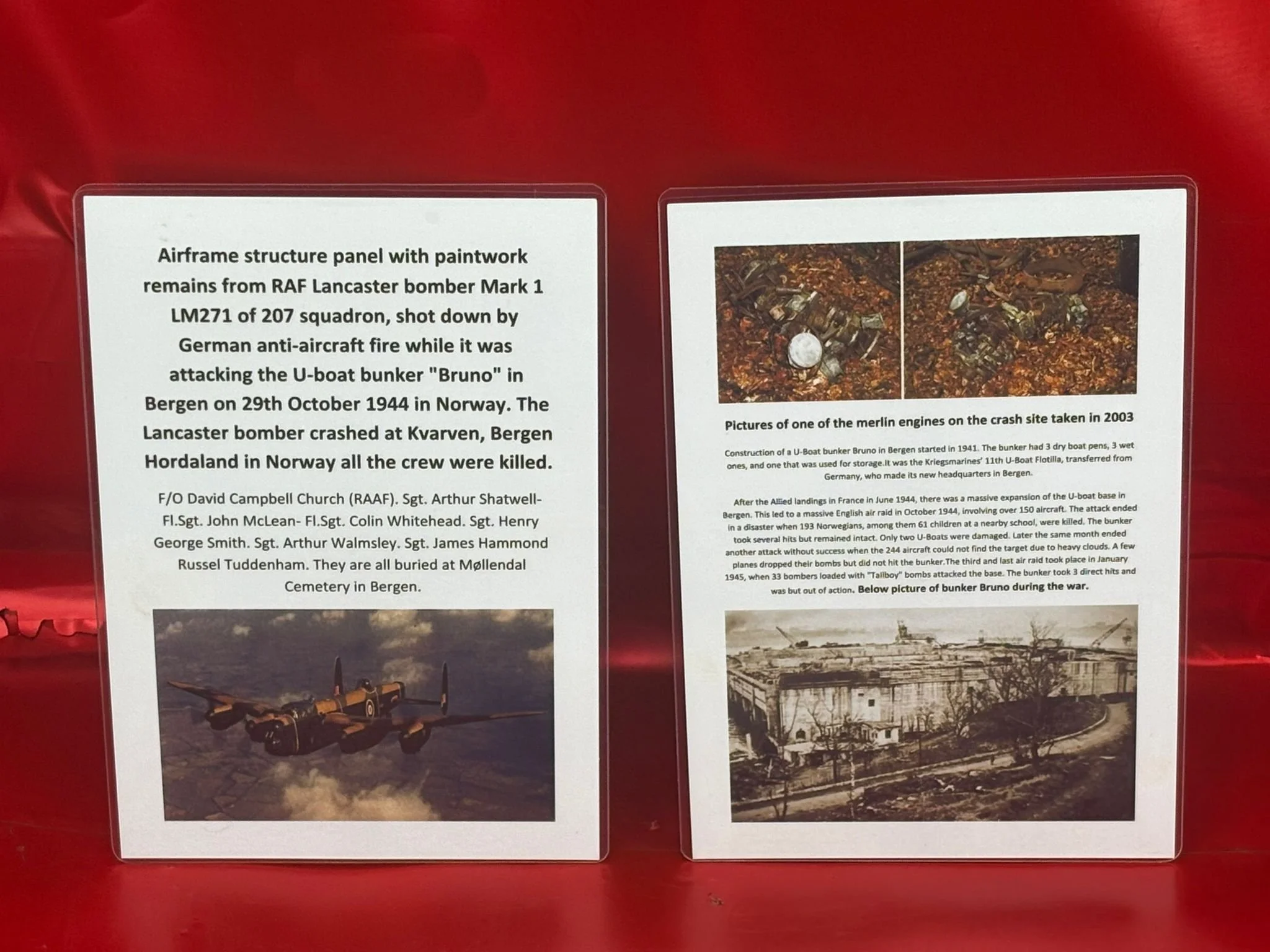 WhatsApp Image 2025-12-08 at 16.55.02.jpeg