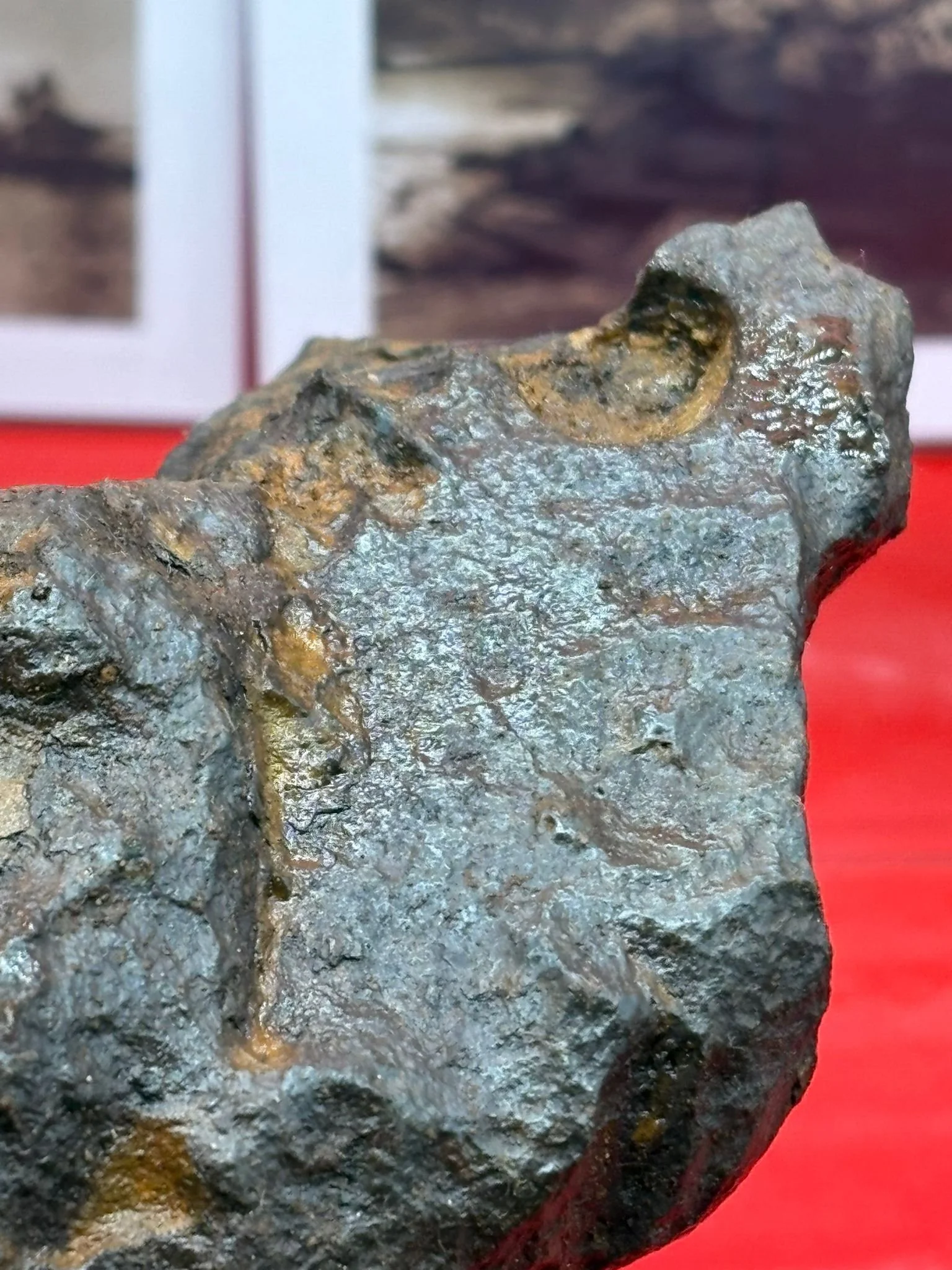 WhatsApp Image 2025-11-24 at 16.53.19.jpeg