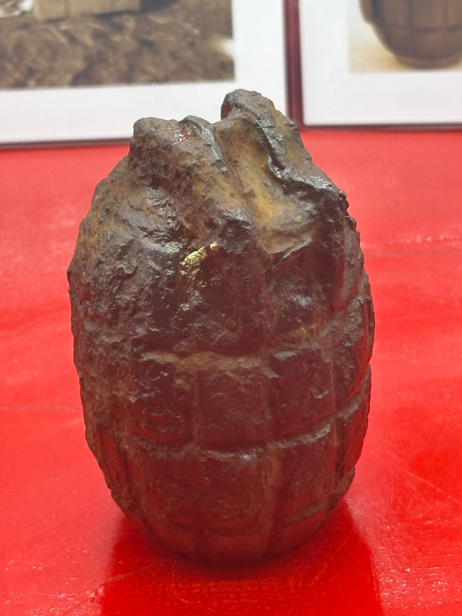 WhatsApp Image 2025-11-16 at 16.11.06 (1).jpeg