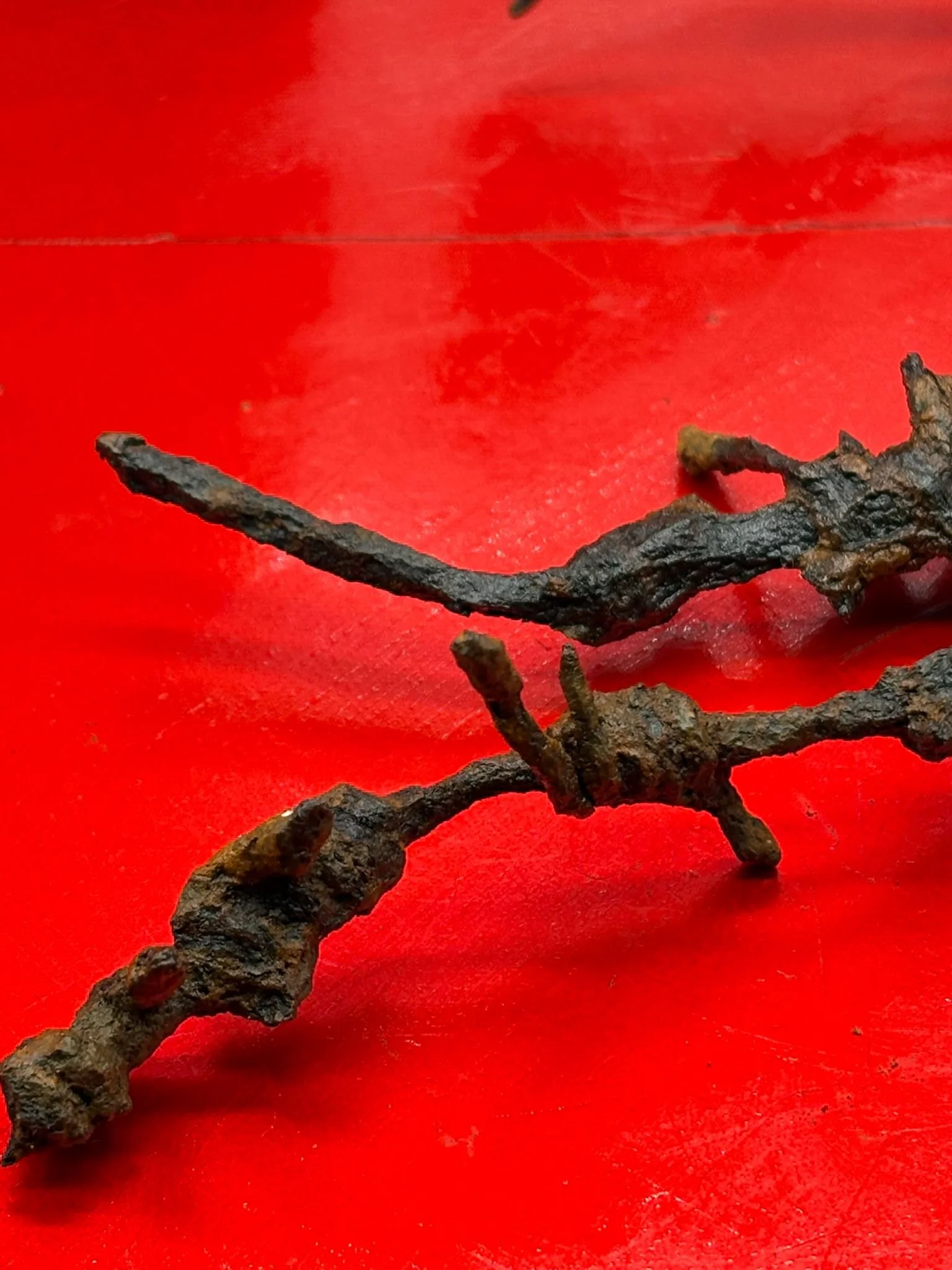 WhatsApp Image 2025-11-12 at 13.16.47 (2).jpeg