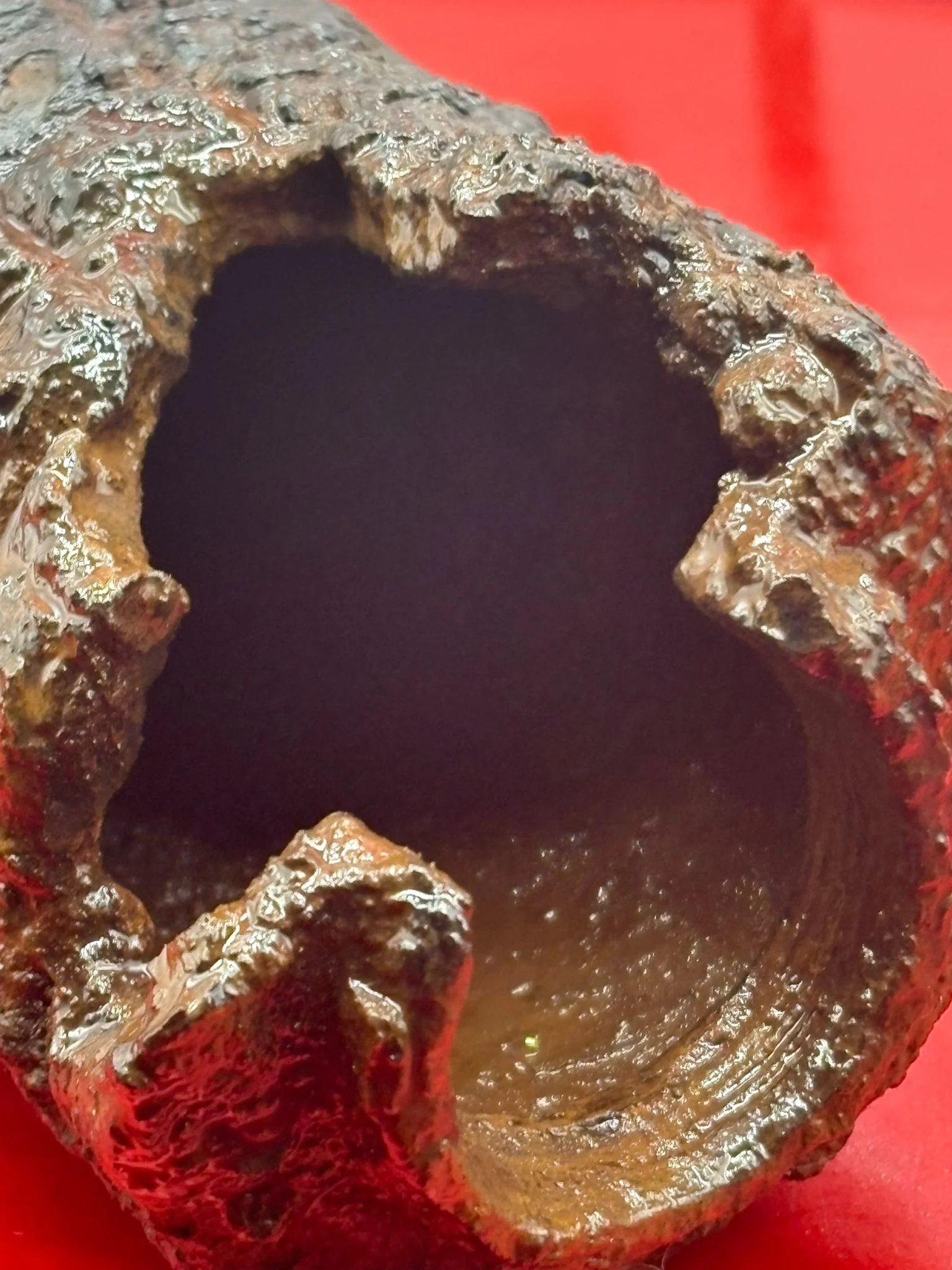 WhatsApp Image 2025-11-12 at 15.05.01 (2).jpeg