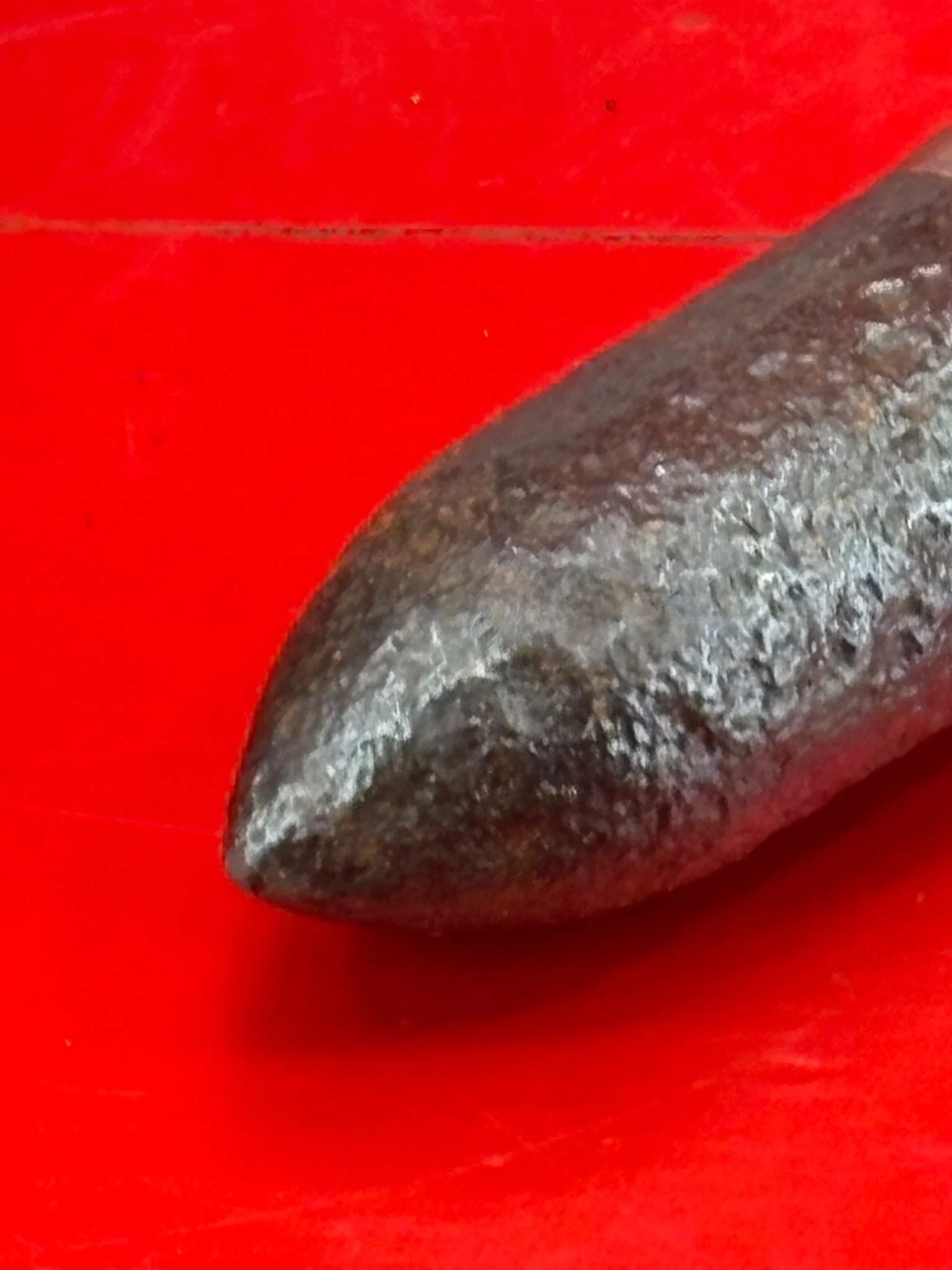 WhatsApp Image 2025-10-27 at 14.01.56 (6).jpeg