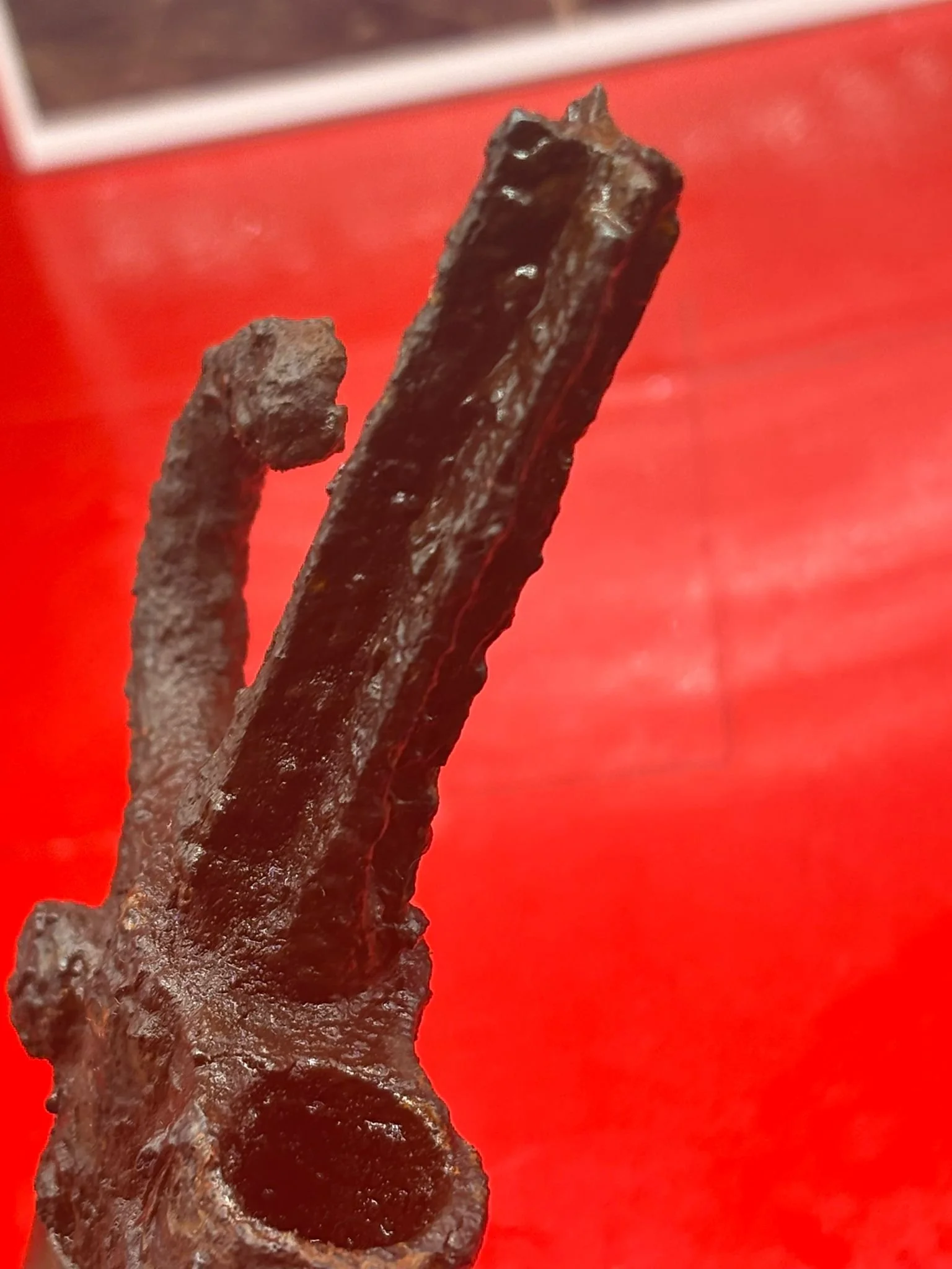 WhatsApp Image 2025-11-16 at 16.05.06 (3).jpeg