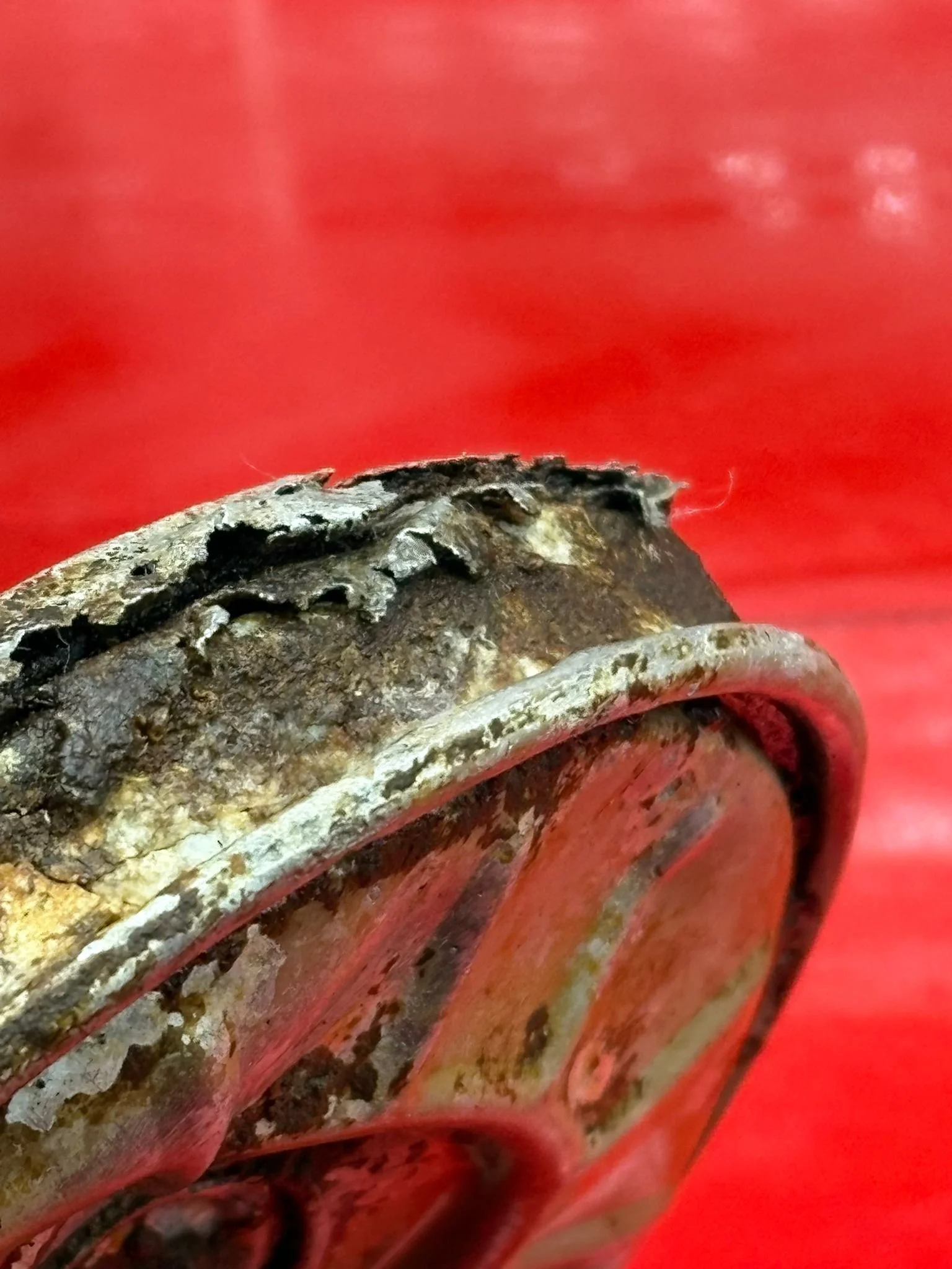 WhatsApp Image 2025-10-21 at 12.22.27.jpeg