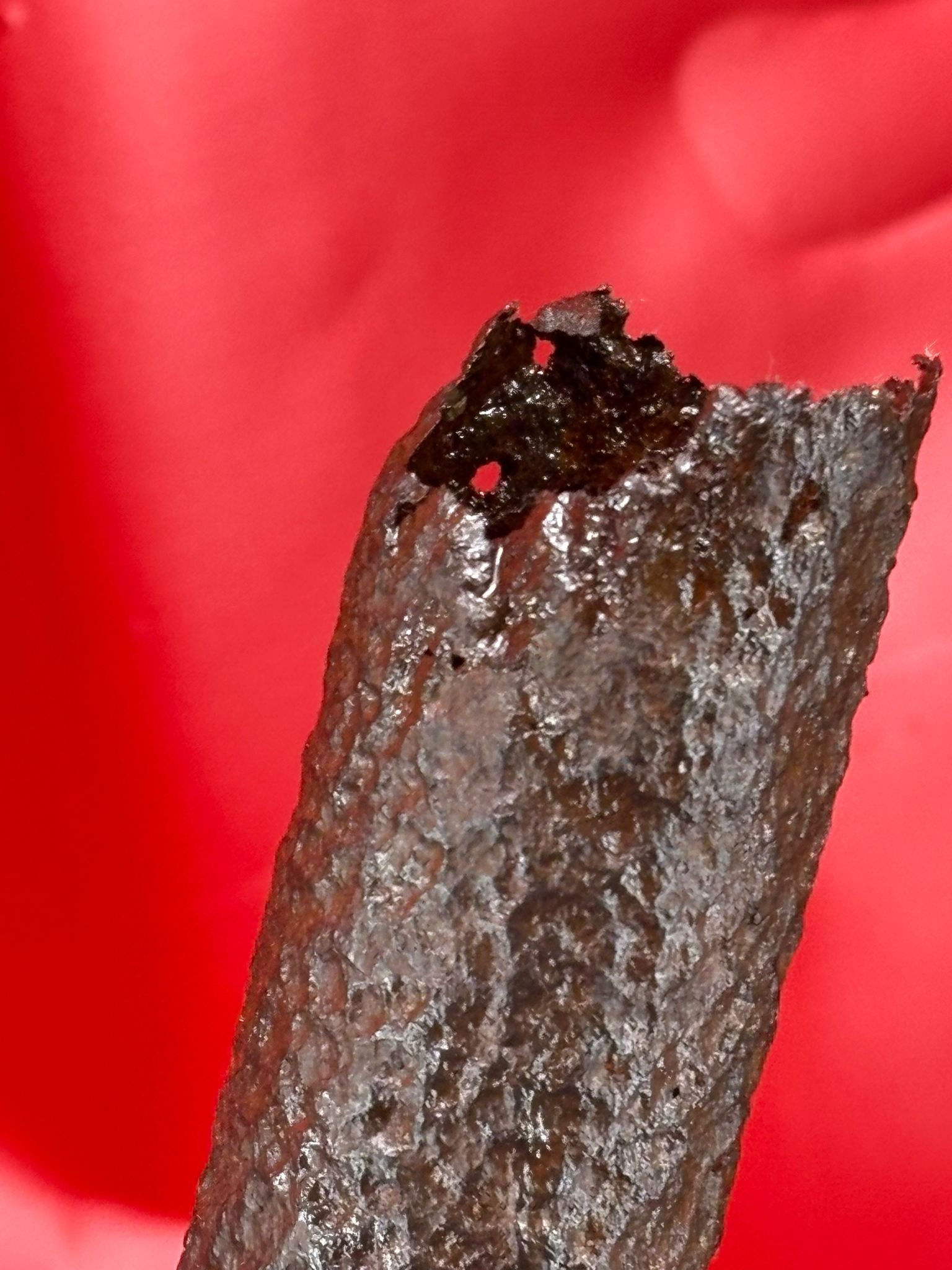 WhatsApp Image 2025-10-27 at 15.31.10 (3).jpeg