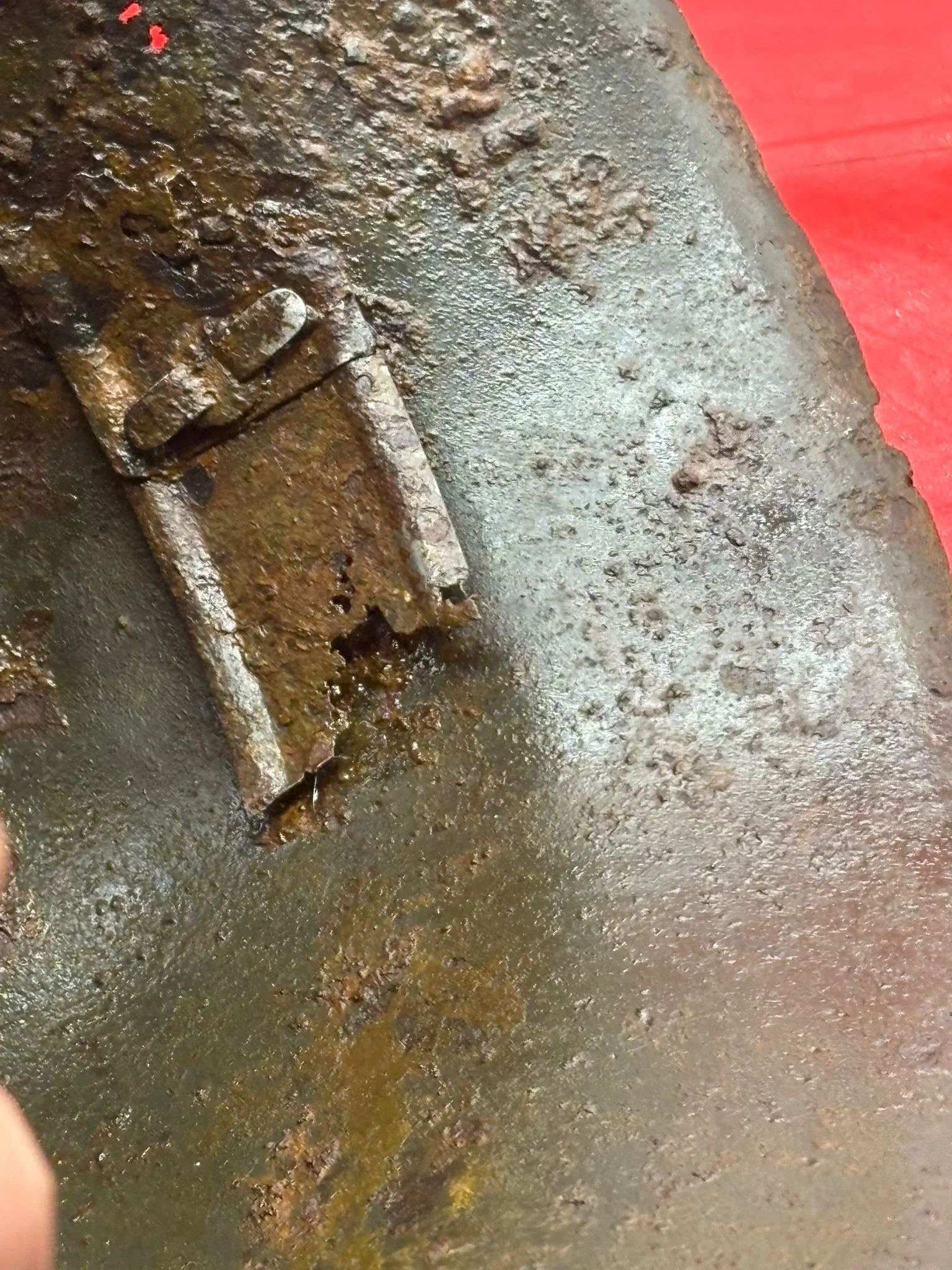 WhatsApp Image 2025-11-06 at 20.42.43 (2).jpeg