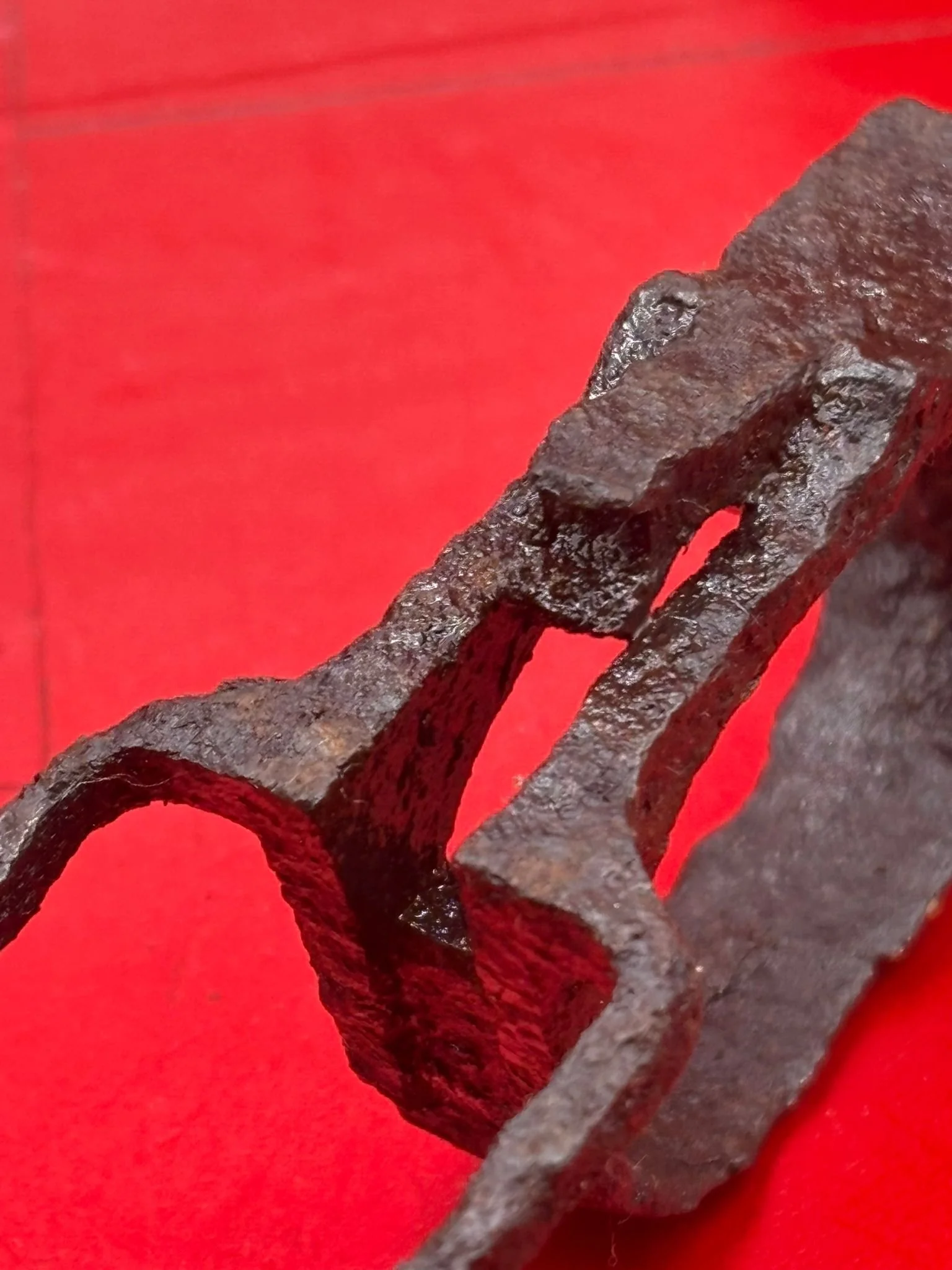 WhatsApp Image 2025-11-12 at 14.52.27 (1).jpeg