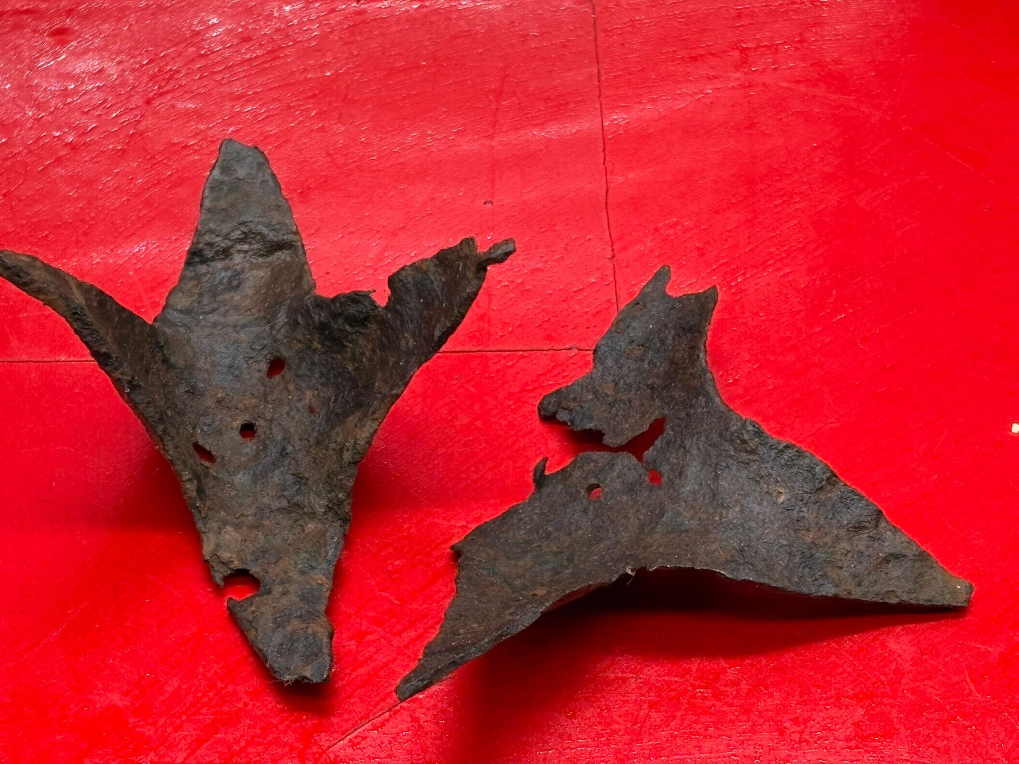 WhatsApp Image 2025-11-12 at 13.14.01.jpeg