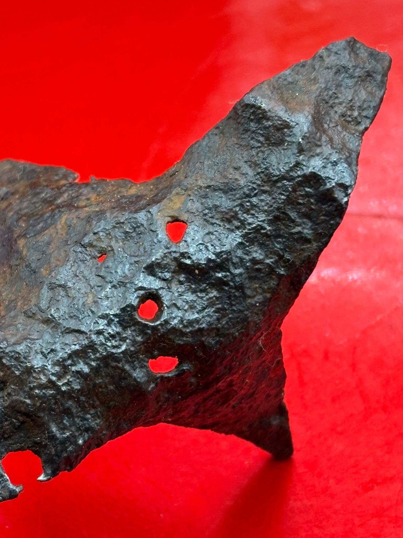 WhatsApp Image 2025-11-12 at 13.14.01 (2).jpeg