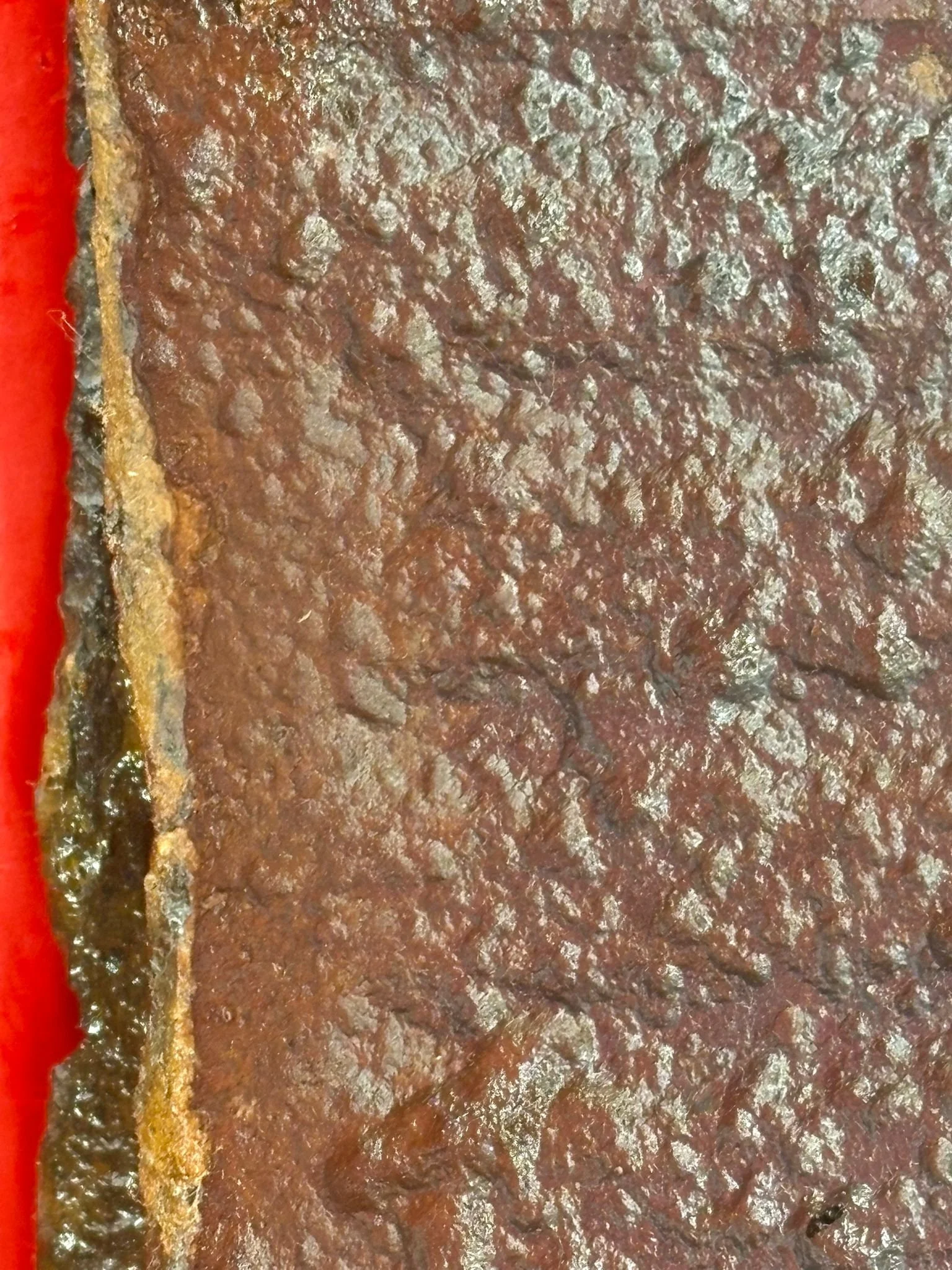 WhatsApp Image 2025-10-24 at 16.18.16 (3).jpeg