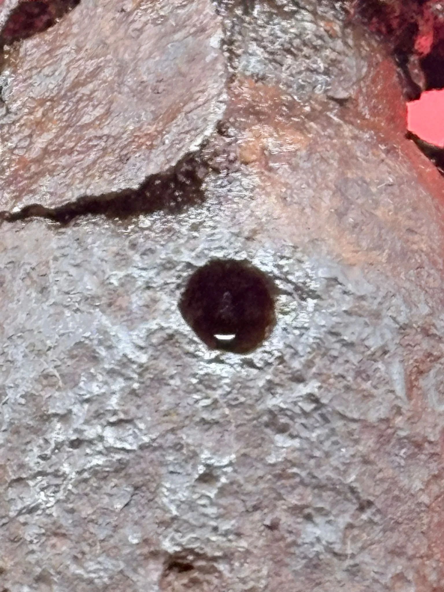 WhatsApp Image 2025-12-08 at 15.32.01.jpeg