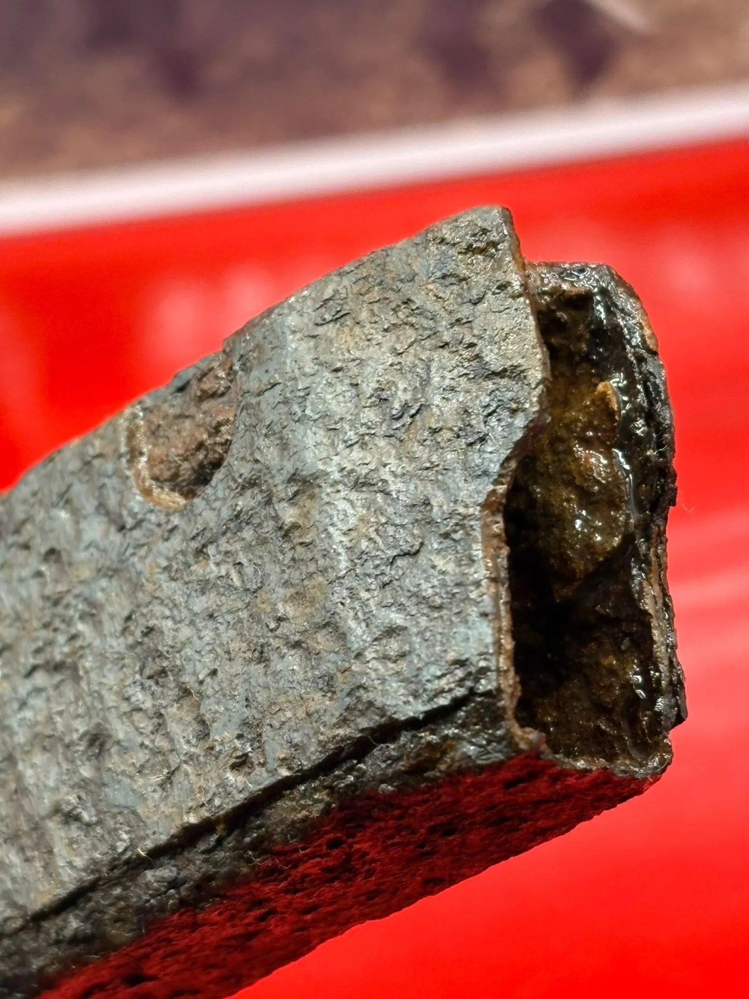 WhatsApp Image 2025-11-24 at 12.48.58 (5).jpeg