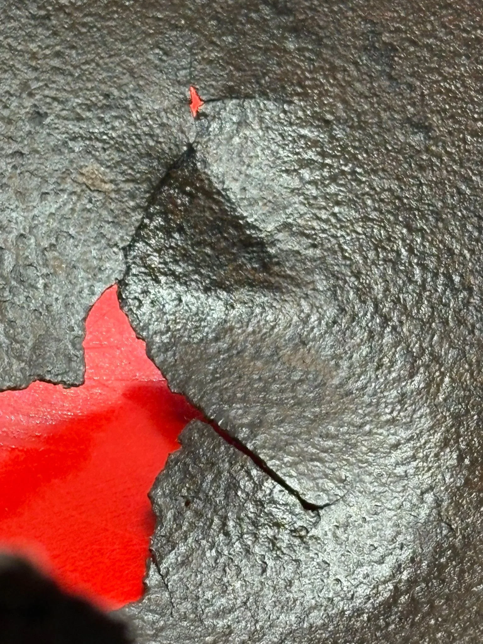 WhatsApp Image 2025-10-27 at 16.02.29.jpeg