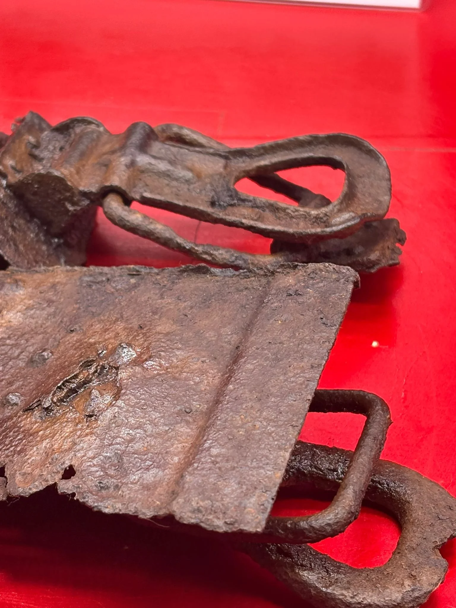 WhatsApp Image 2025-11-12 at 15.02.41 (3).jpeg