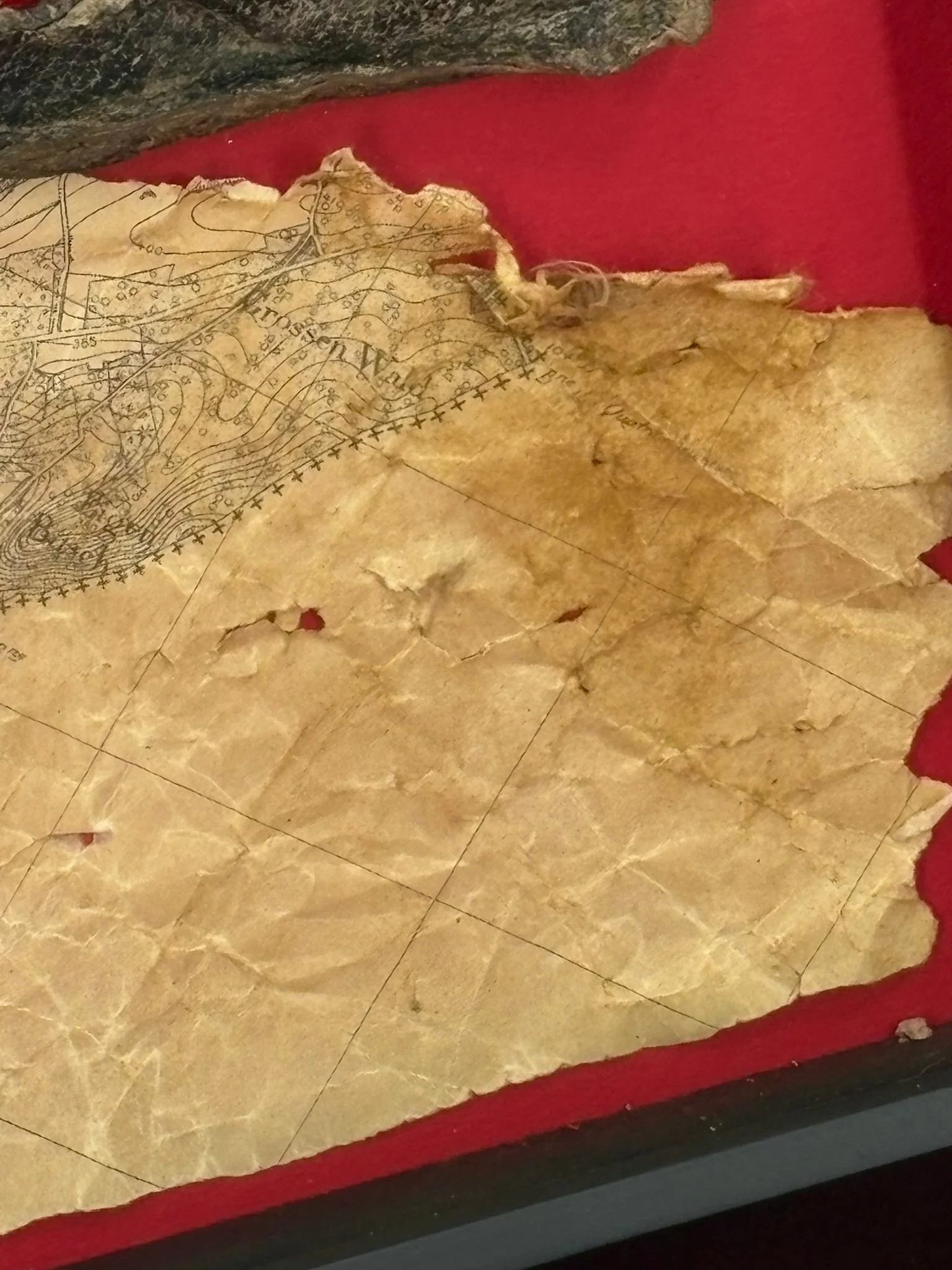 WhatsApp Image 2025-12-01 at 15.40.45.jpeg