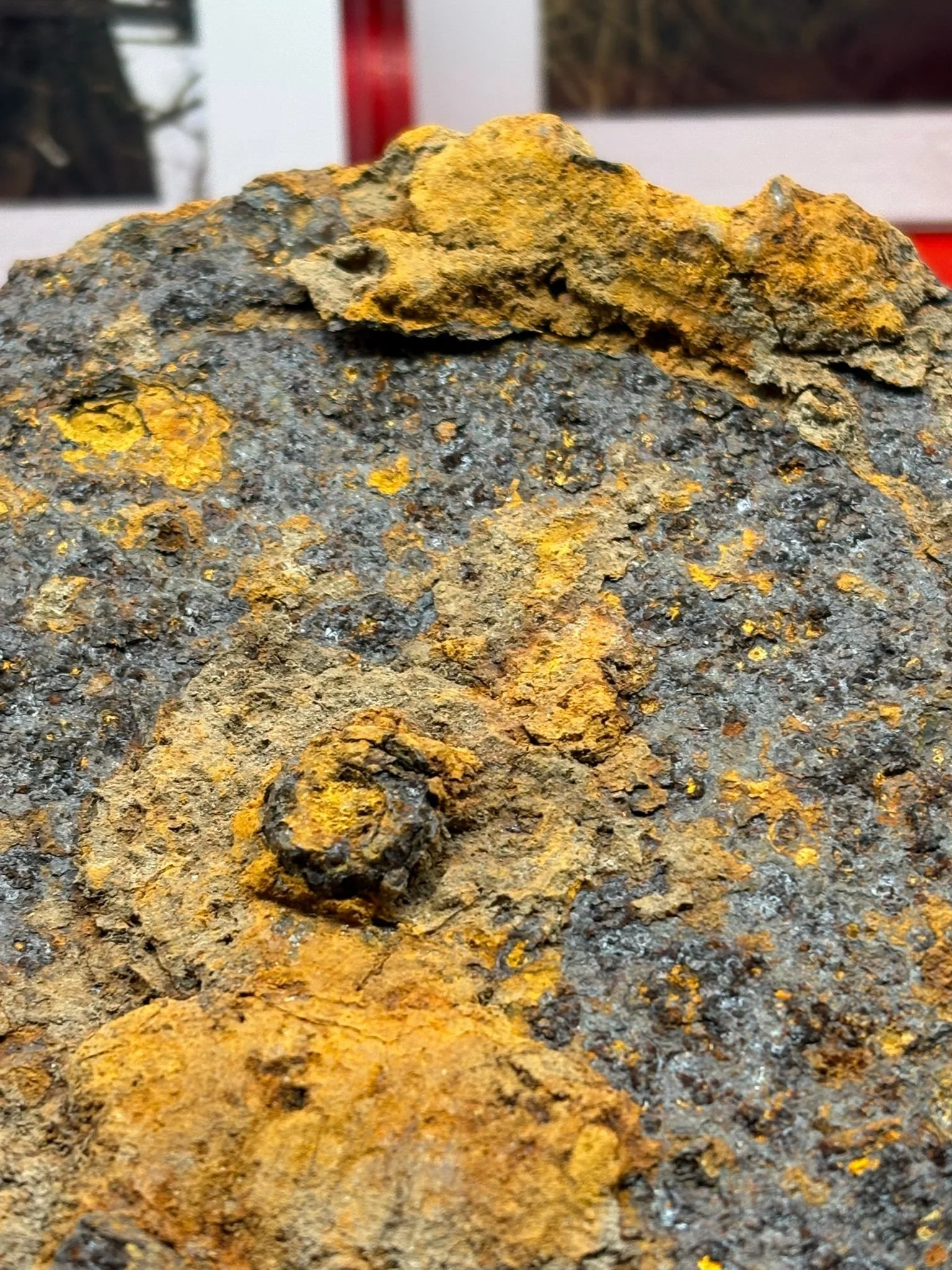 WhatsApp Image 2025-10-22 at 17.07.04.jpeg