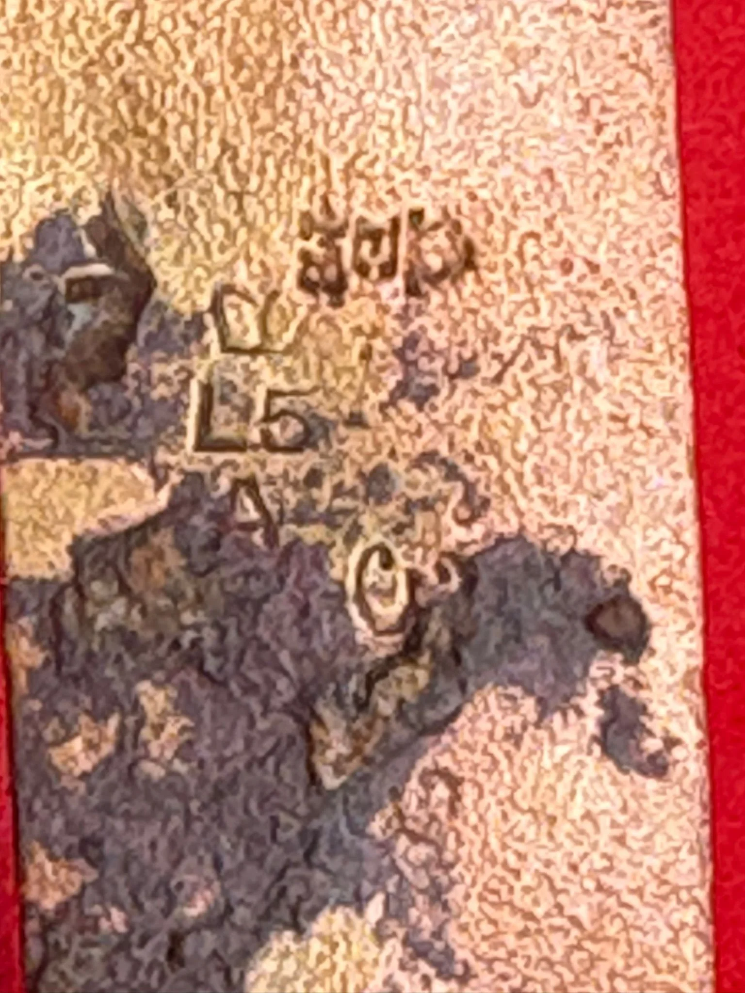 WhatsApp Image 2025-11-11 at 10.21.49.jpeg