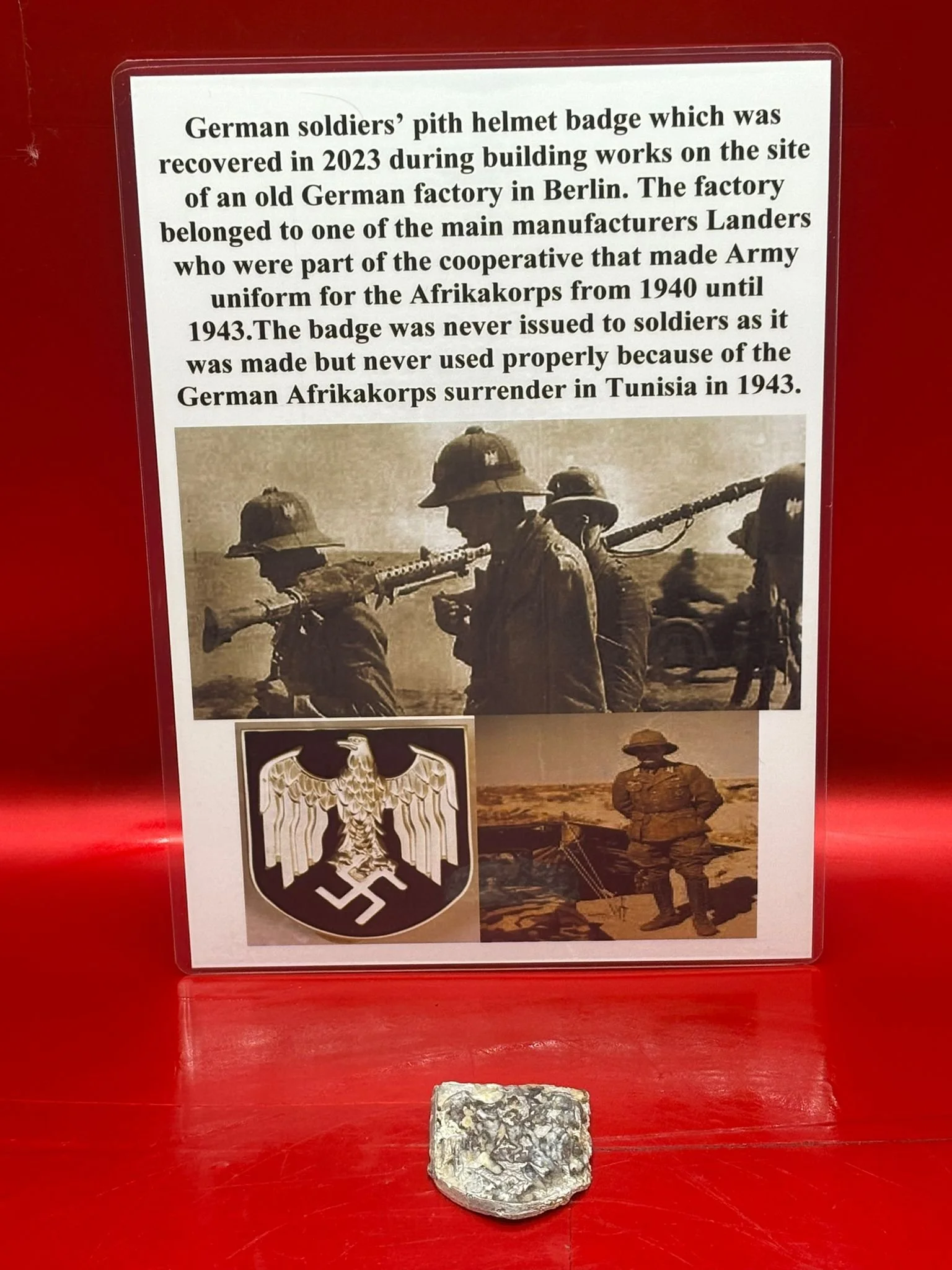 WhatsApp Image 2025-11-20 at 19.07.56.jpeg