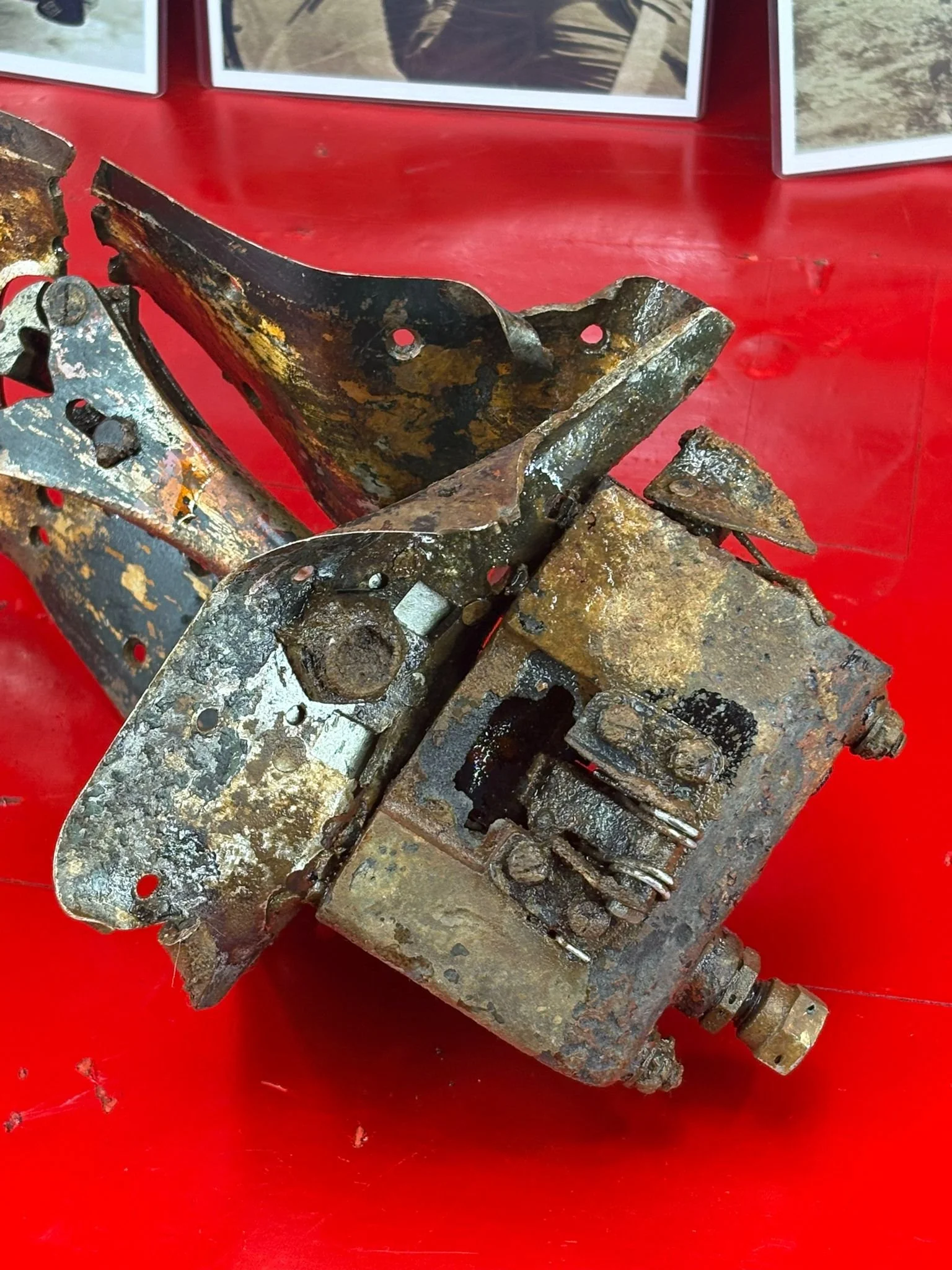 WhatsApp Image 2026-02-10 at 11.54.36 (5).jpeg