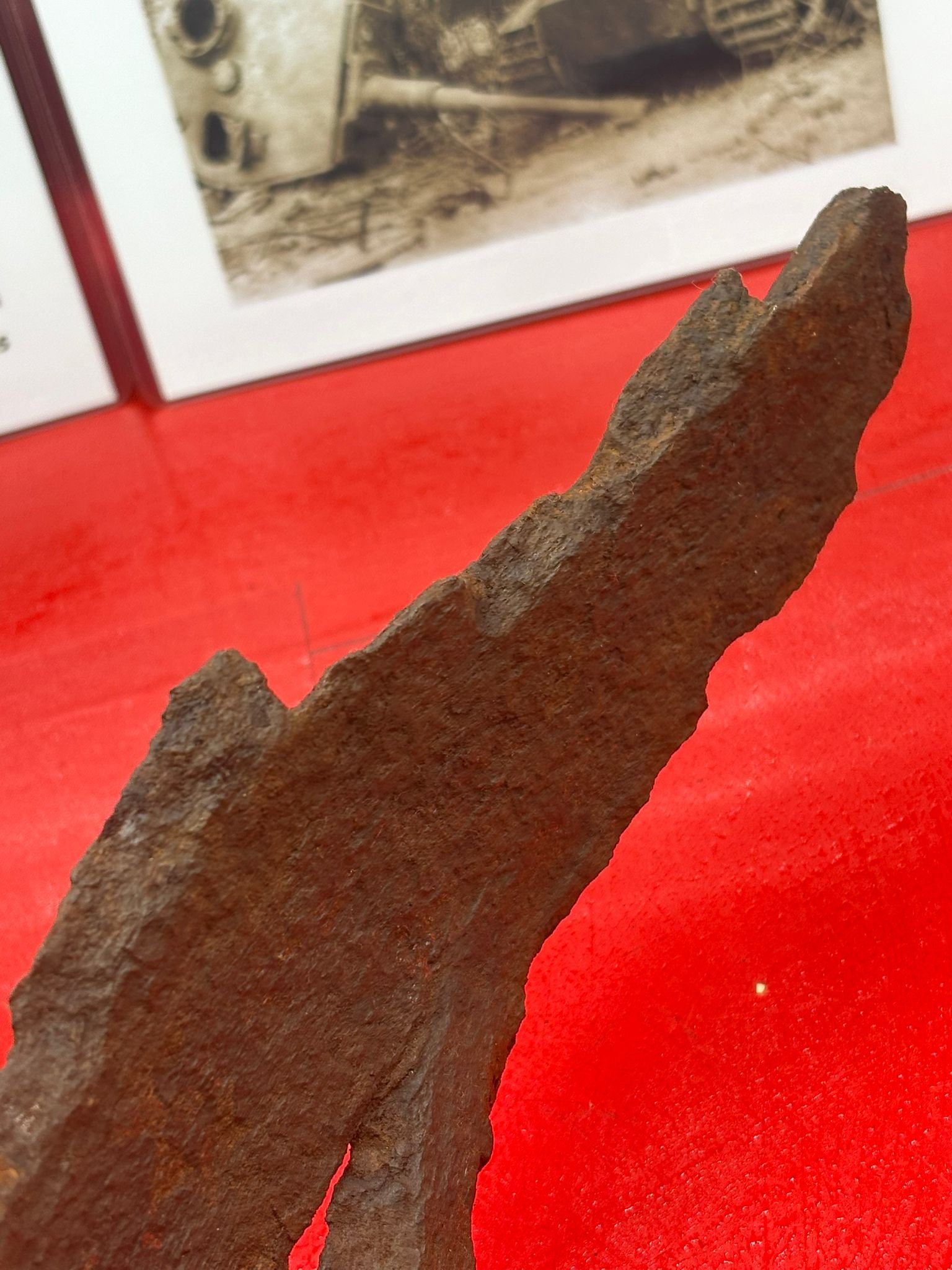 WhatsApp Image 2025-11-18 at 15.10.05 (5).jpeg