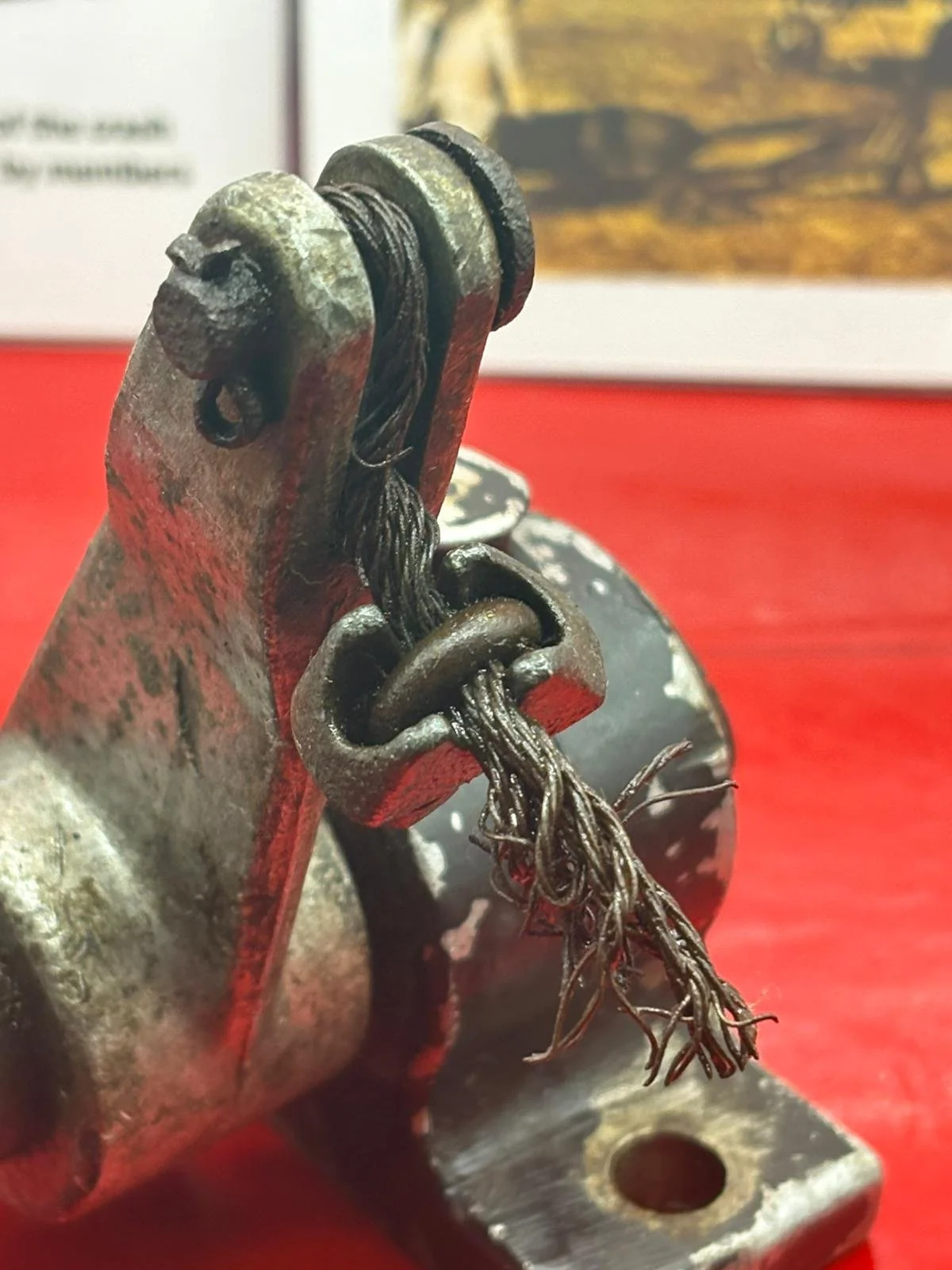 WhatsApp Image 2025-12-09 at 14.11.15 (3).jpeg