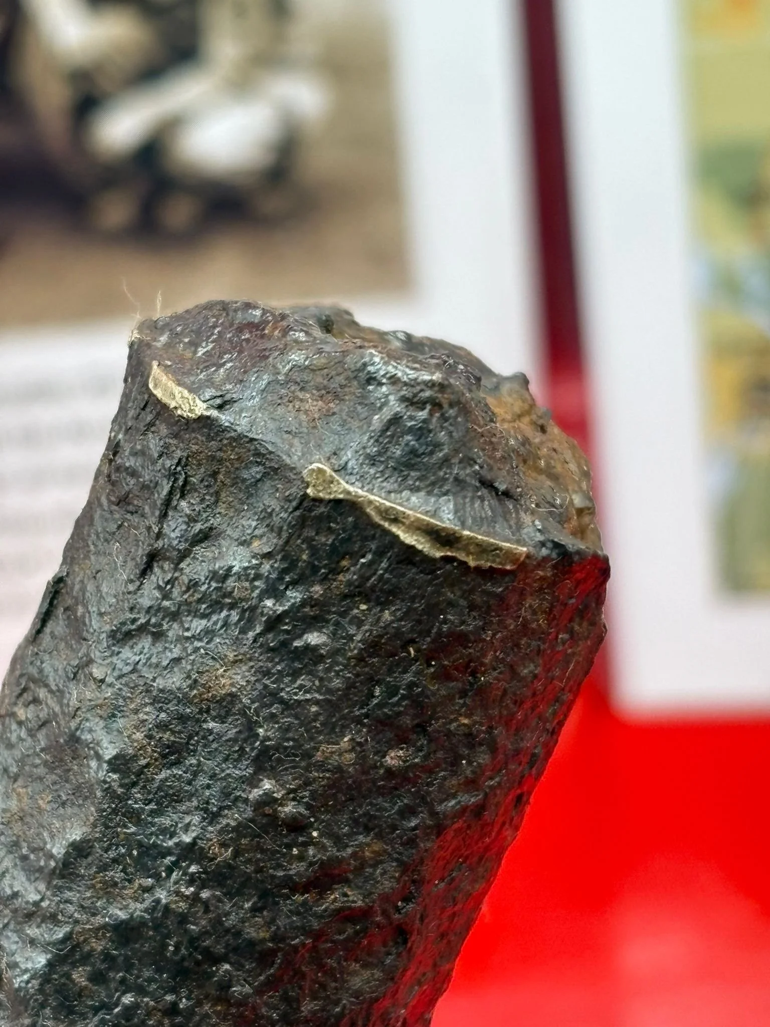 WhatsApp Image 2025-10-22 at 18.31.47 (1).jpeg