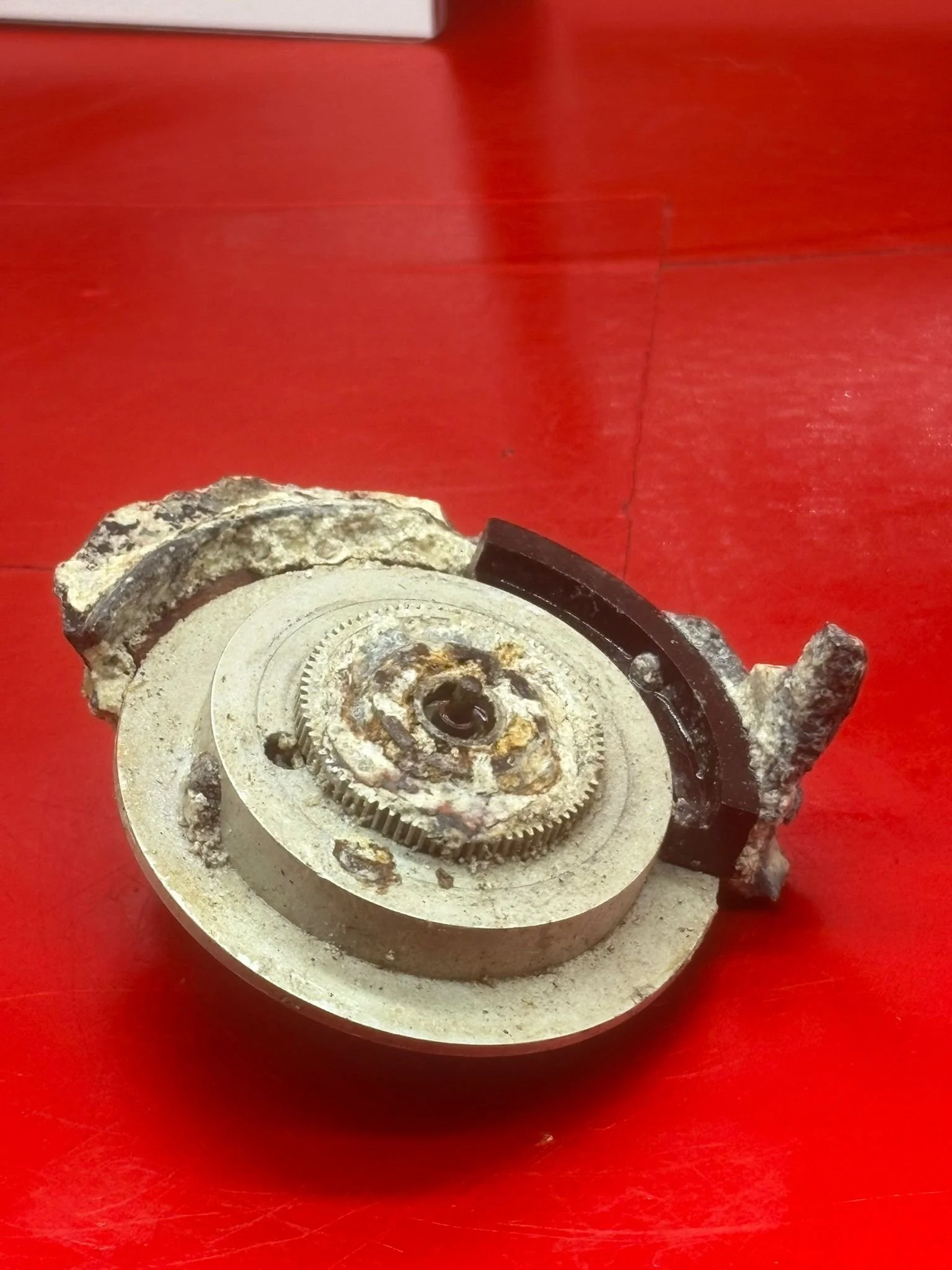 WhatsApp Image 2026-02-13 at 16.21.51 (4).jpeg