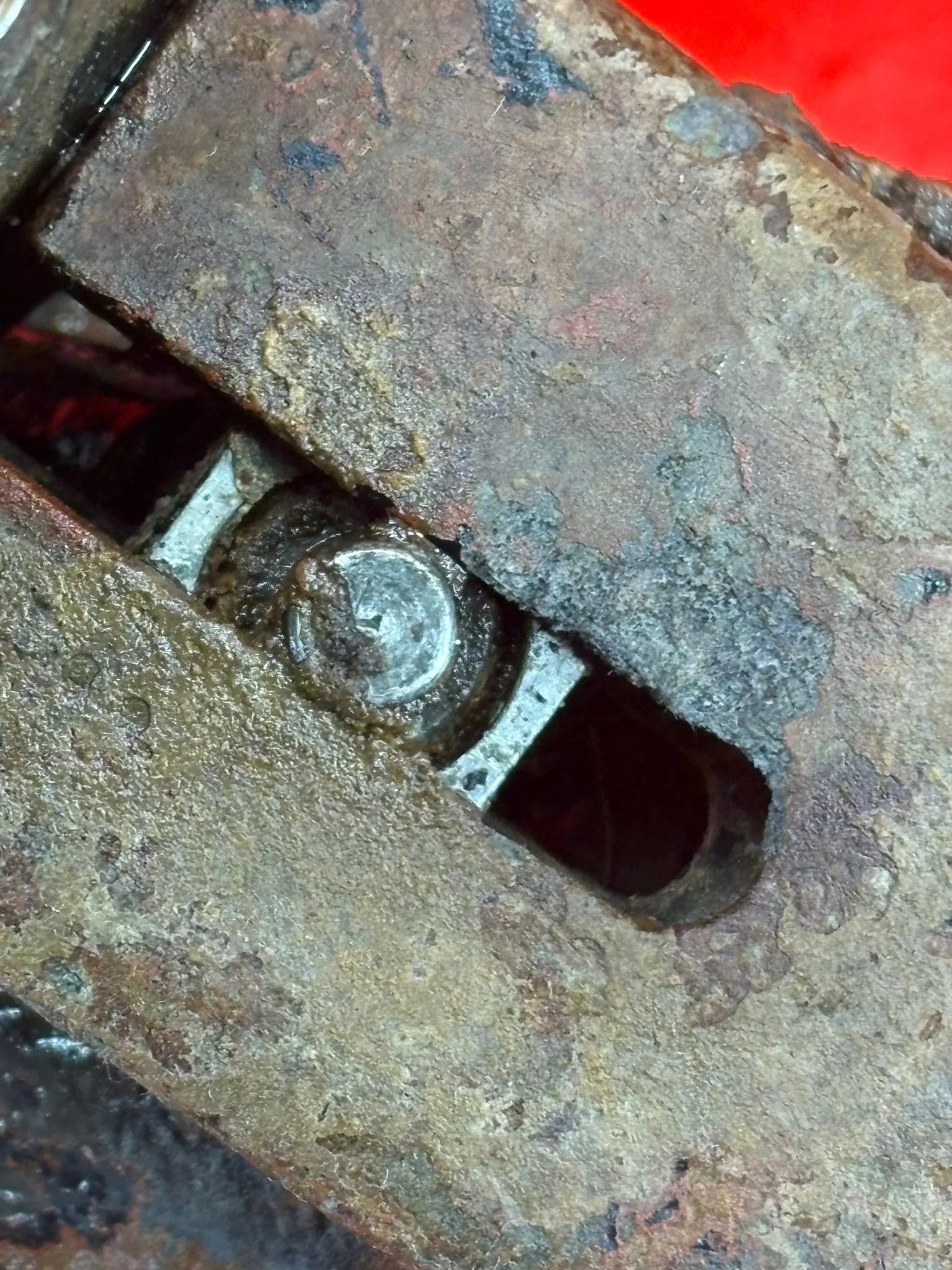 WhatsApp Image 2026-02-10 at 11.54.37.jpeg