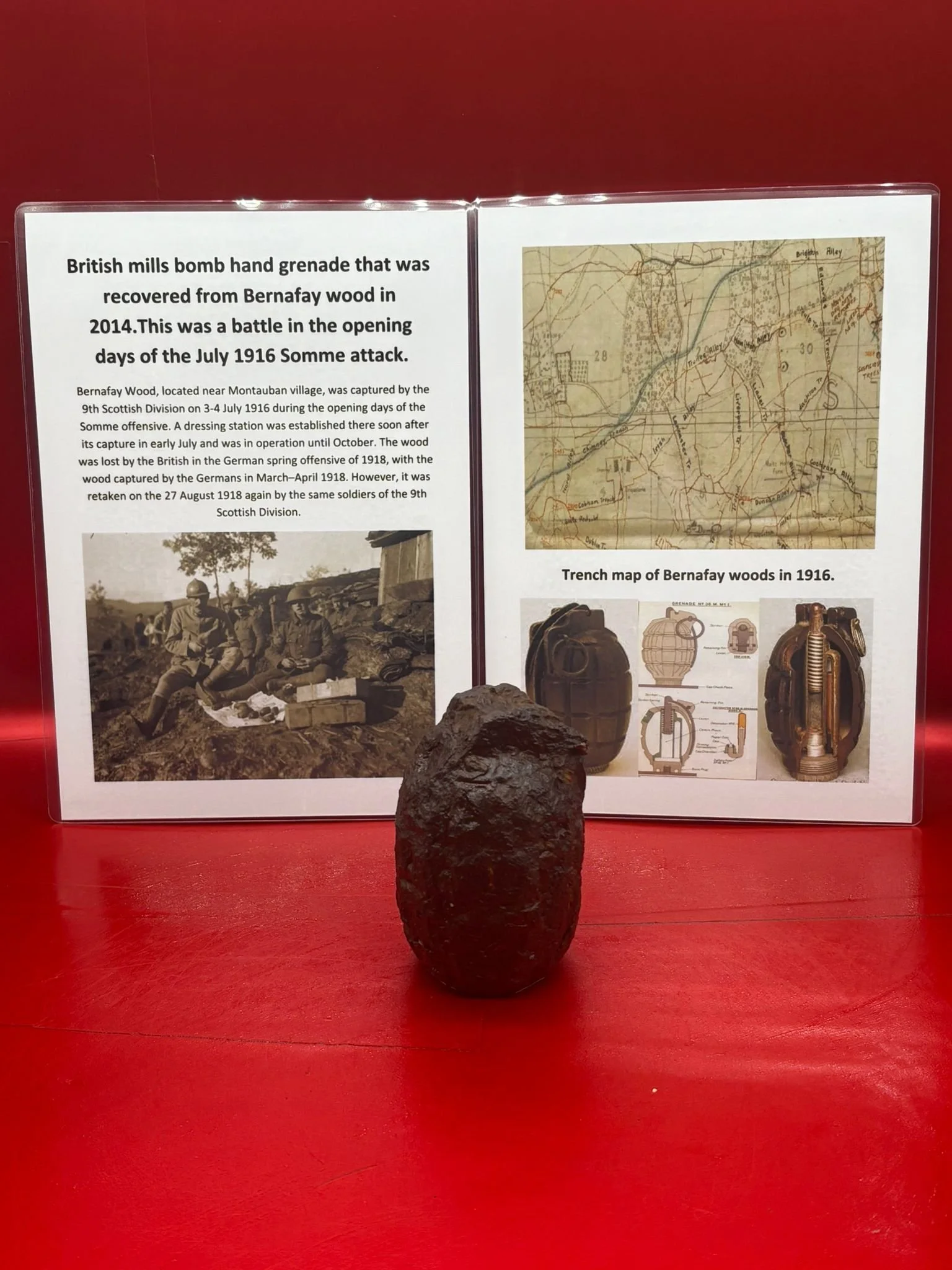 WhatsApp Image 2025-11-16 at 16.10.44.jpeg